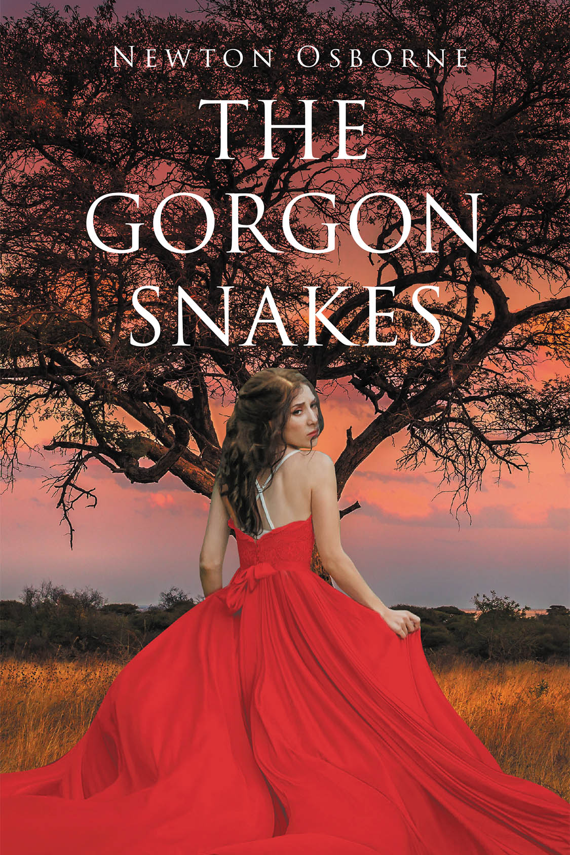Author Newton Osborne’s New Book, "The Gorgon Snakes," Follows a University Professor Who Must Find a Cure to a Lethal Disease Before Several Governments Hunt Him Down