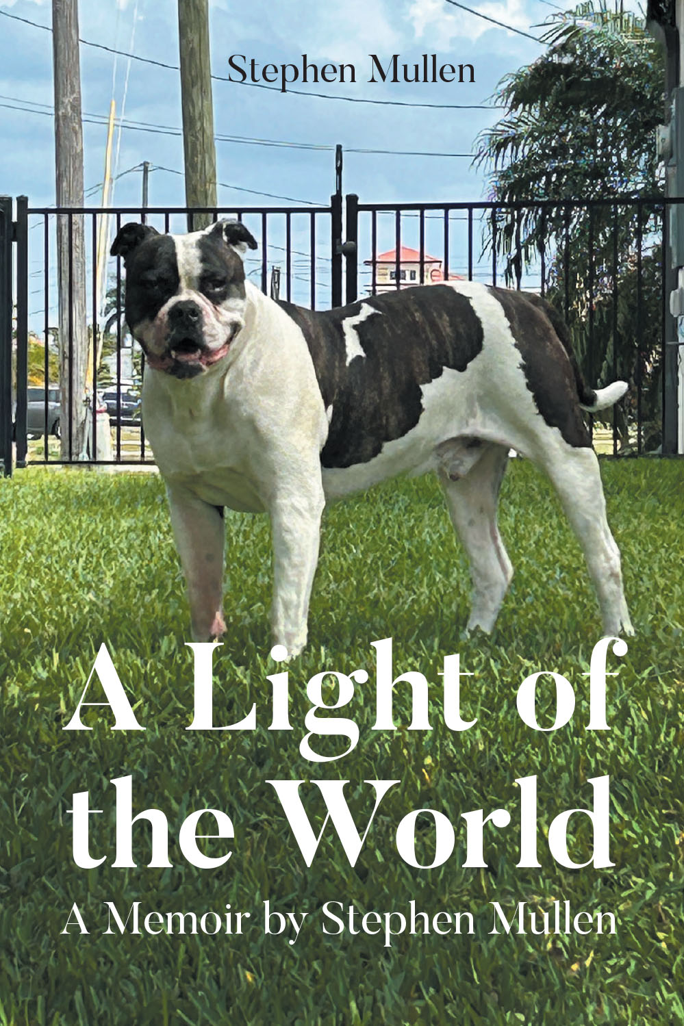 Author Stephen Mullen’s New Book, "A Light of the World," is a Poignant Memoir That Recounts the Incredible Impact the Author’s American Bulldog Thor Had on His Life