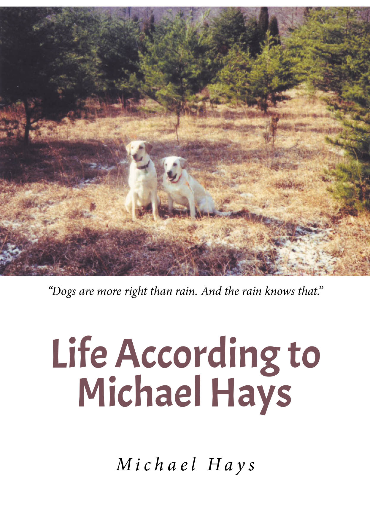 Michael Hays’s New Book, "Life According to Michael Hays," is a Poignant Collection of Observations and Sayings by the Author That Reflect Upon His Experiences in Life