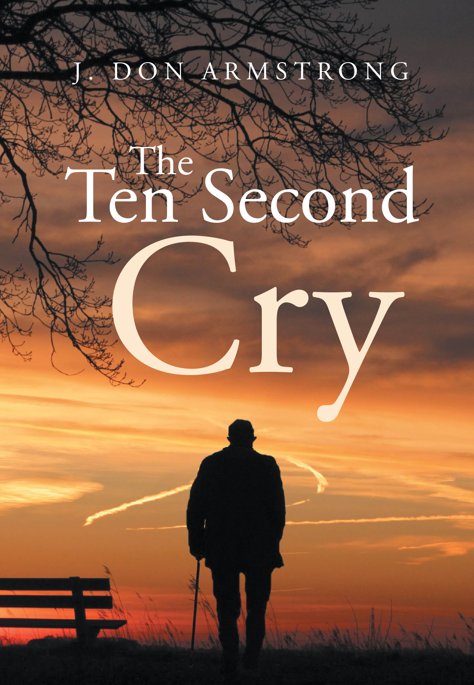 Author J. Don Armstrong’s New Book, "The Ten Second Cry," is a Poignant Memoir That Recounts the Author’s Incredible Life Journey with His Loving Soulmate