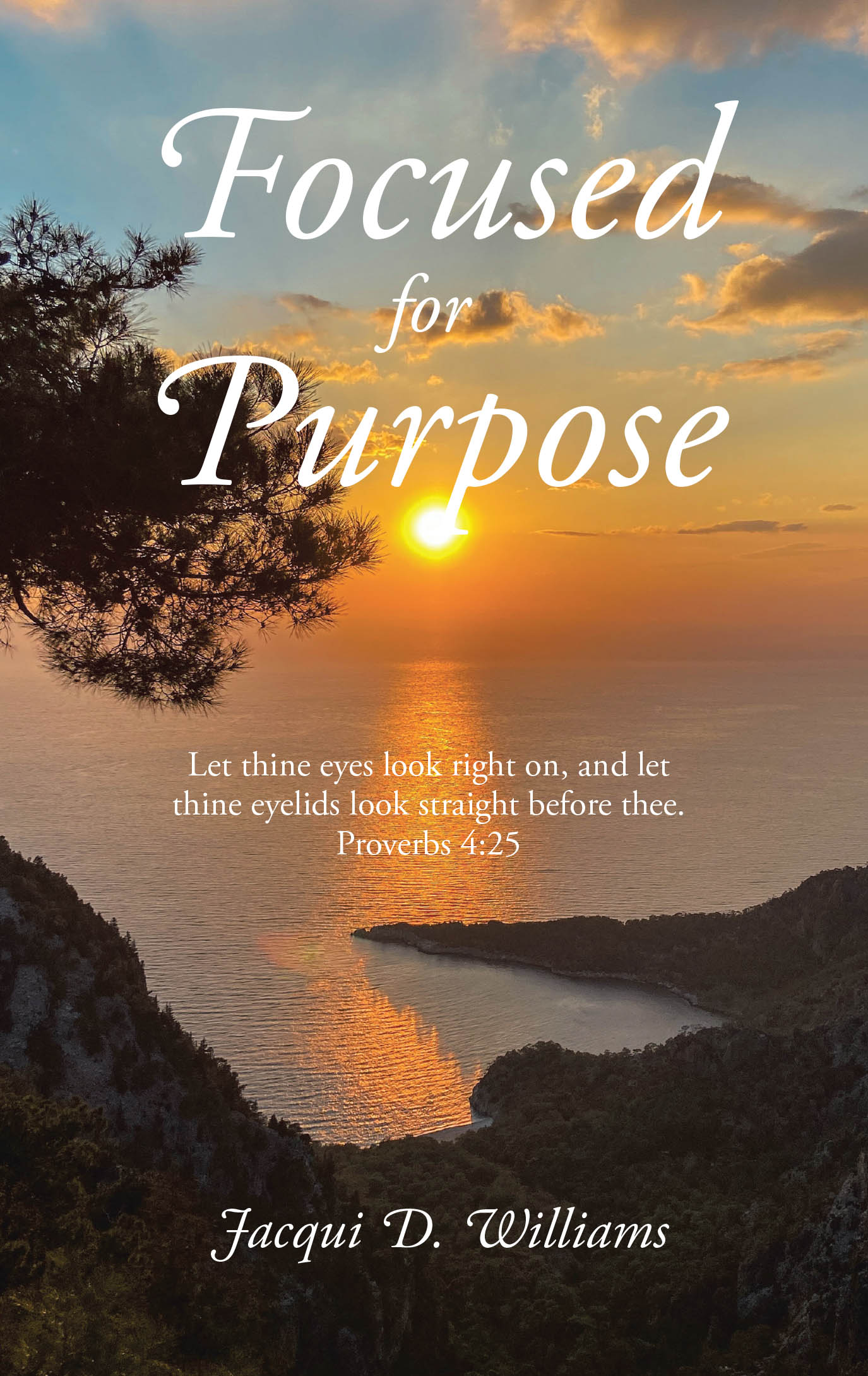 Jacqui D. Williams’s Newly Released "Focused for Purpose" is an Empowering Guide That Aids Readers Awareness to Distractions Designed to Rob Their God-Given Purpose