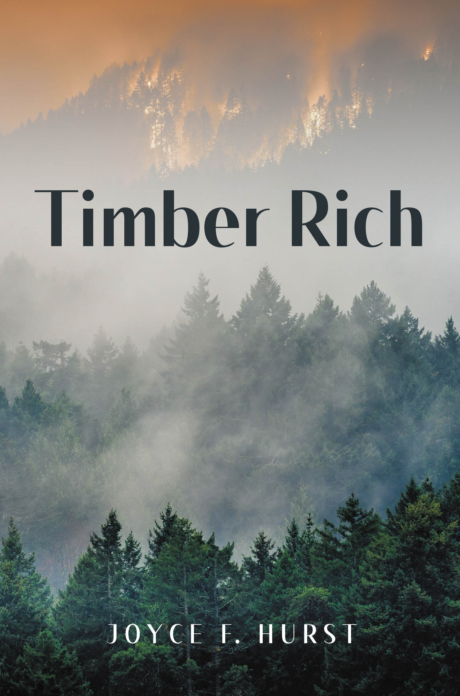 Author Joyce F. Hurst’s New Book, "Timber Rich," is a Compelling Novel That Follows Two Friends and Firefighters Whose Lives Lead Down Drastically Different Paths