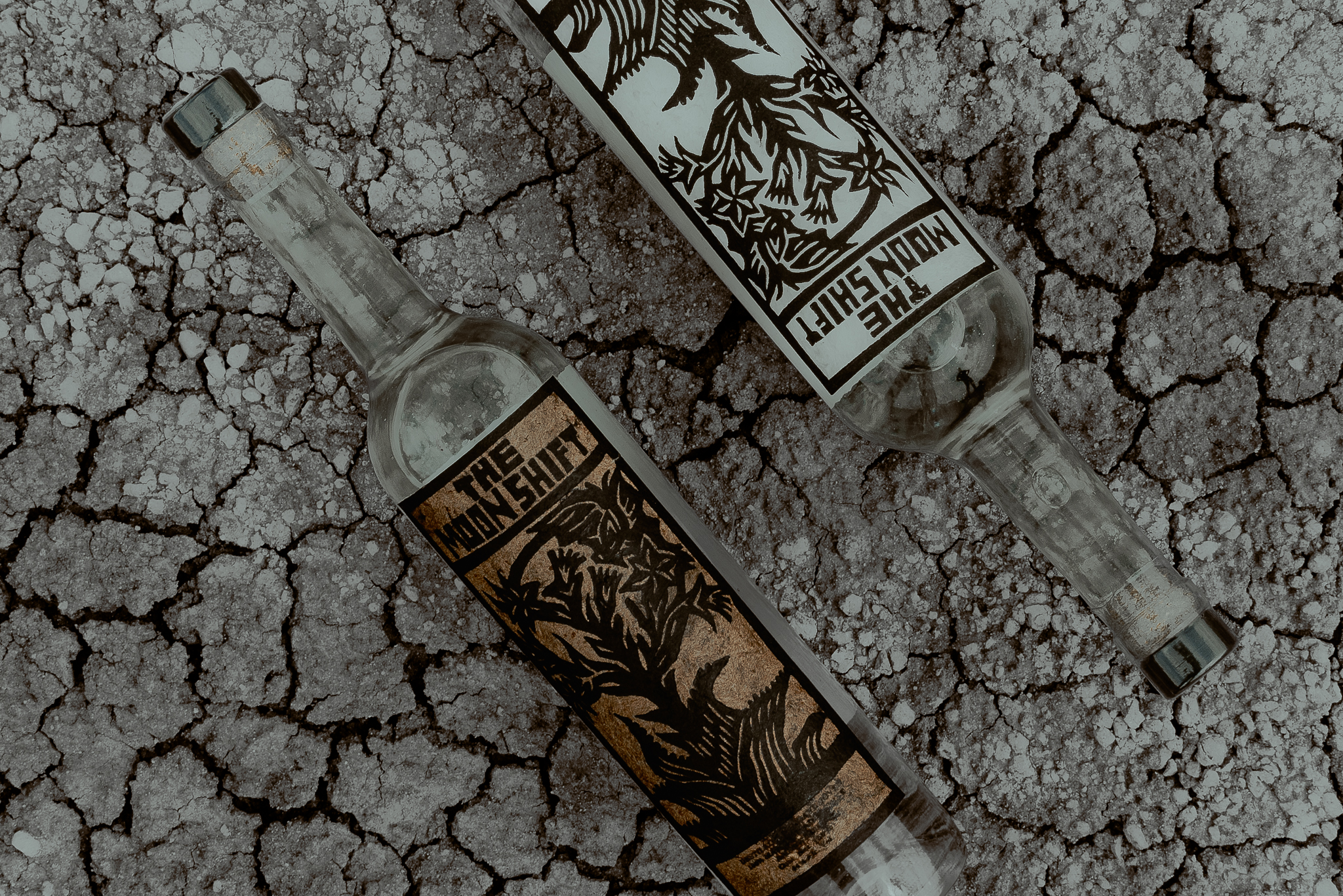 From Oaxaca to Singapore: The Moon Shift Strikes Gold (and Silver) Again — This Time in Asia