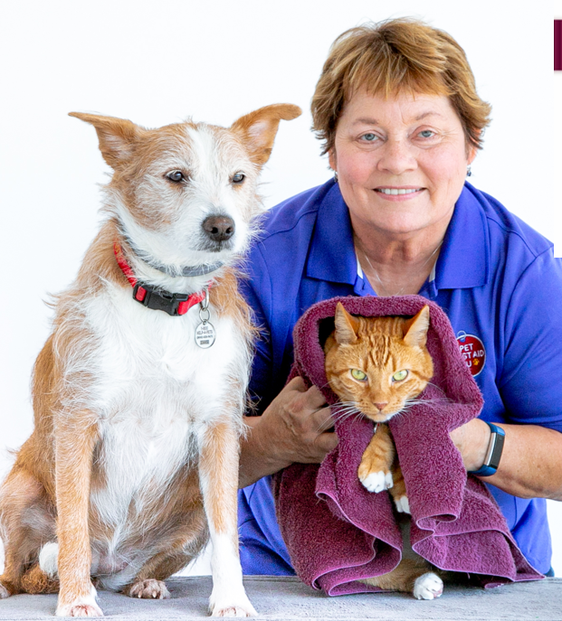 Pet First Aid 4U Now Offers 3 Options to Learn Pet First Aid and CPR