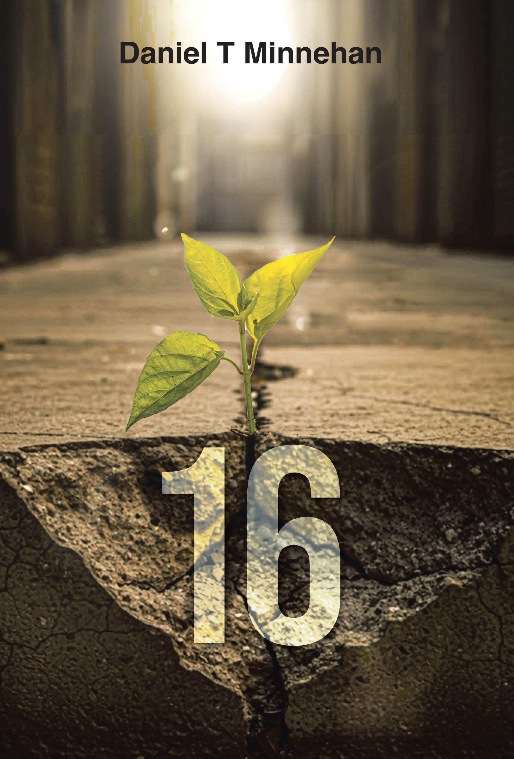 Daniel T Minnehan’s Newly Released "16" is a Gripping Memoir of Survival, Resilience, and the Life-Changing Journey Through Leukemia and Beyond