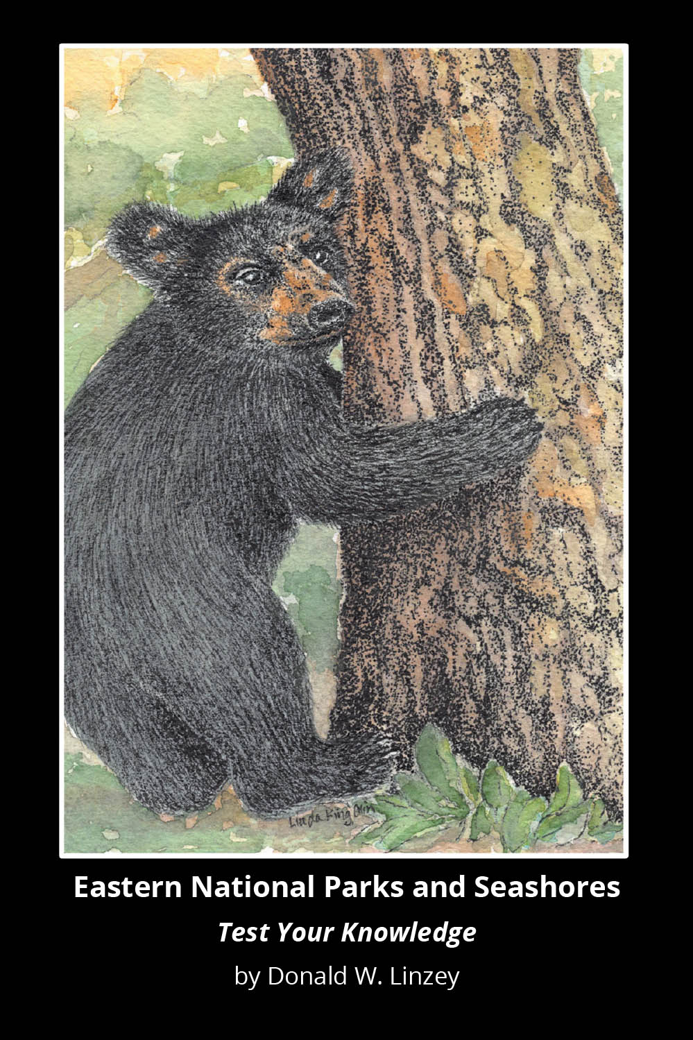 Author Donald W. Linzey’s New Book, "Eastern National Parks and Seashores: Test Your Knowledge," is an Interactive Quiz Booklet About Some of America’s National Wonders