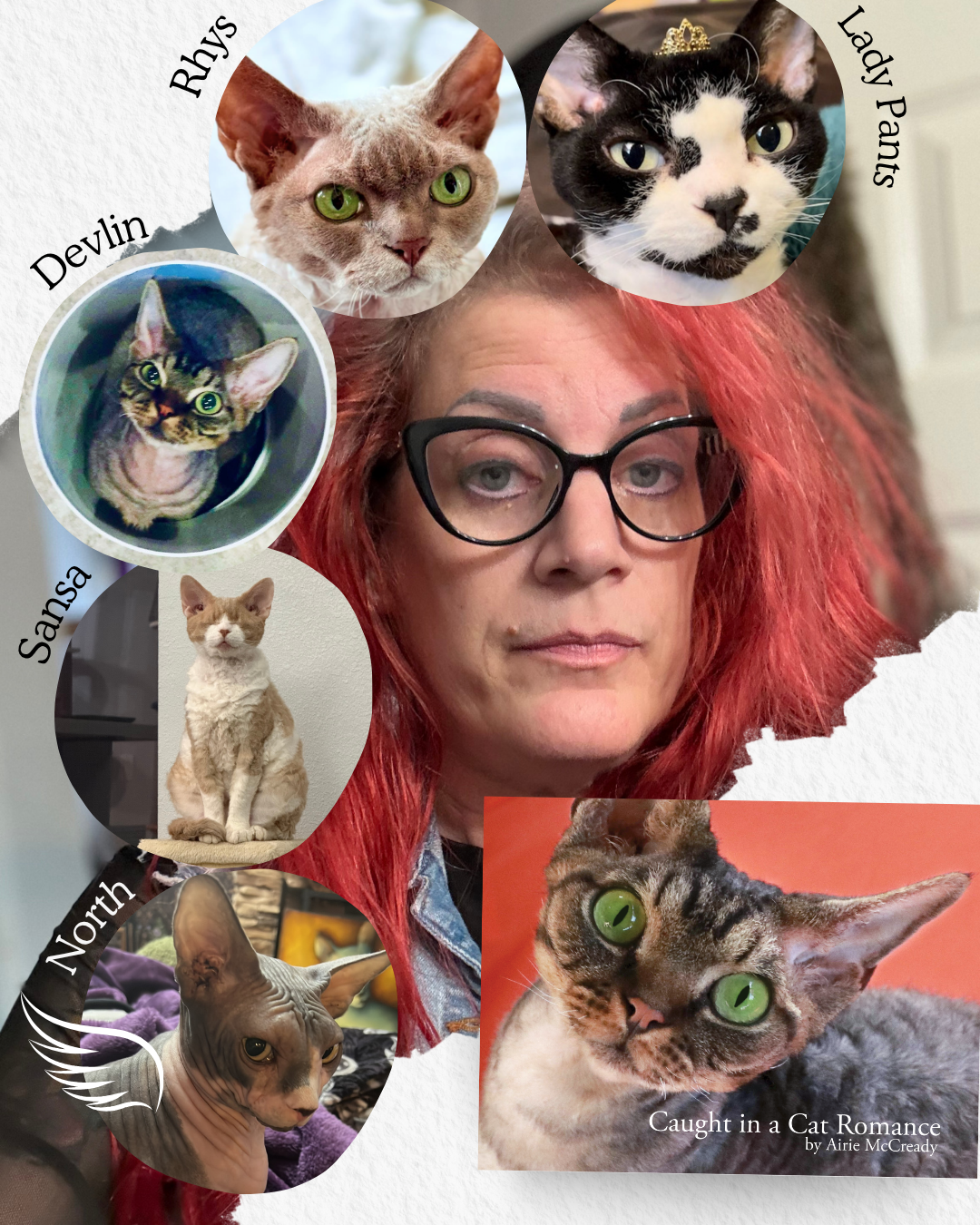 "Caught in a Cat Romance" Claws Its Way Into Hearts on October 2, 2025