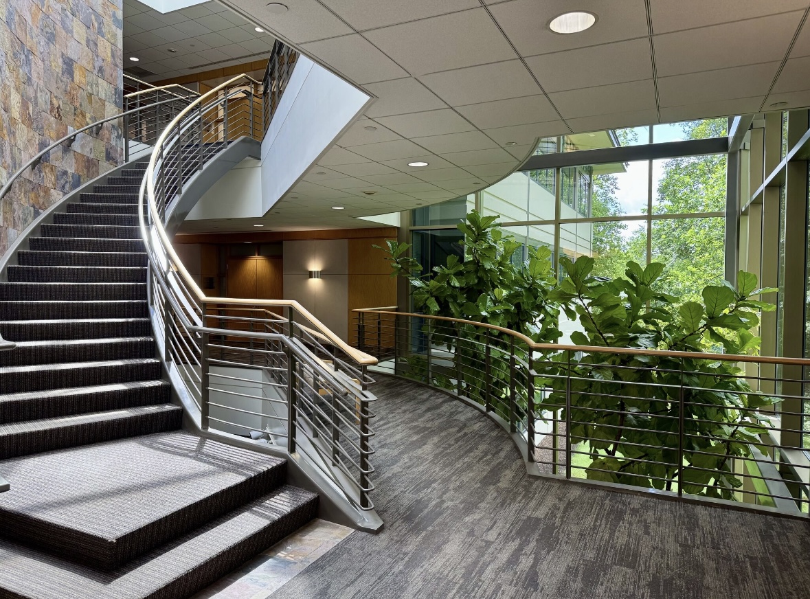 MooreWays to Mental Health Brings Breakthrough TMS Treatment to Chester County, PA