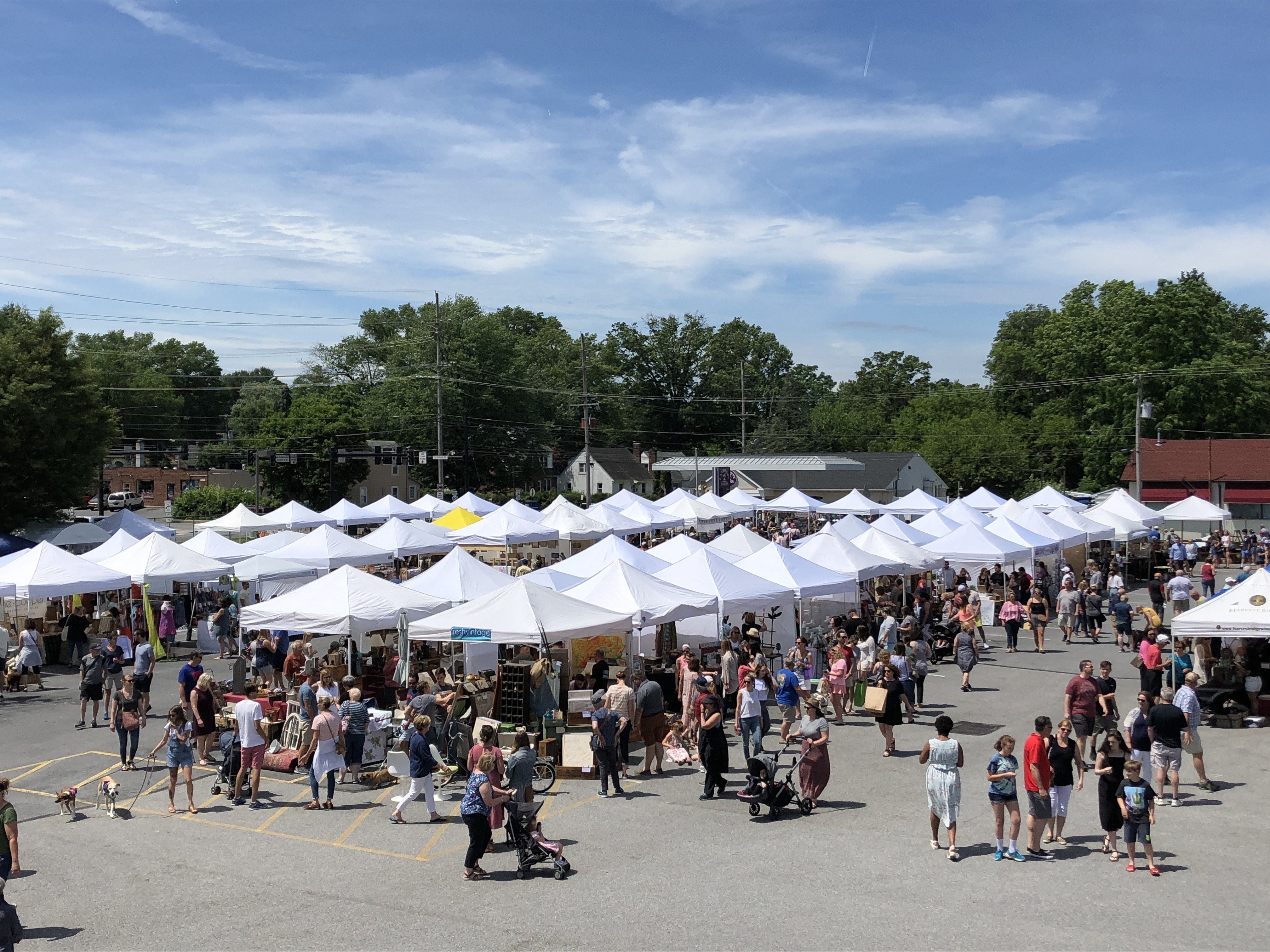 Clover Market Finishes the Fall Outdoor Season on Oct. 19 in Kennett Square