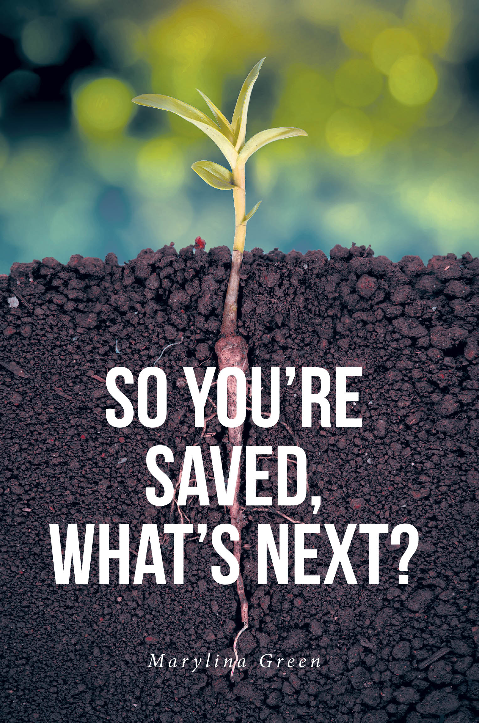 Marylina Green’s Newly Released "So You’re Saved, What’s Next?" is a Heartfelt Devotional Designed to Guide New Believers Through Key Steps to Walking with Christ