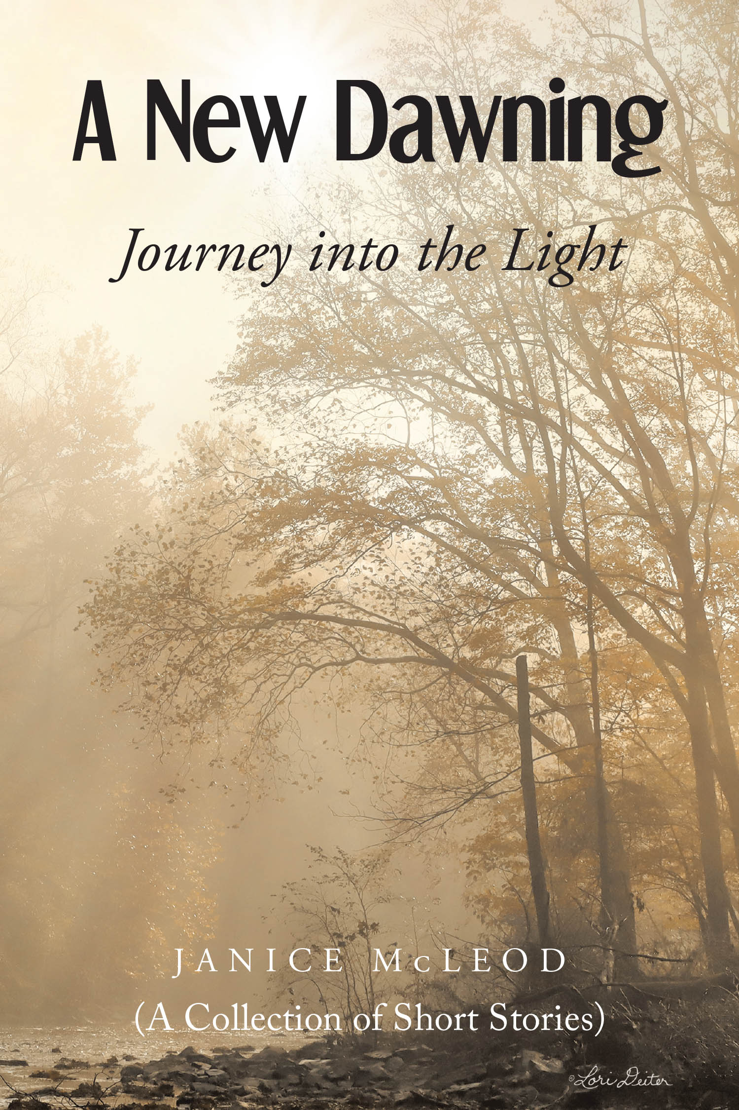 Janice McLeod’s New Book, “A New Dawning: Journey into the Light (A Collection of Short Stories),” Explores the Issues That Americans Currently Face in This Day and Age