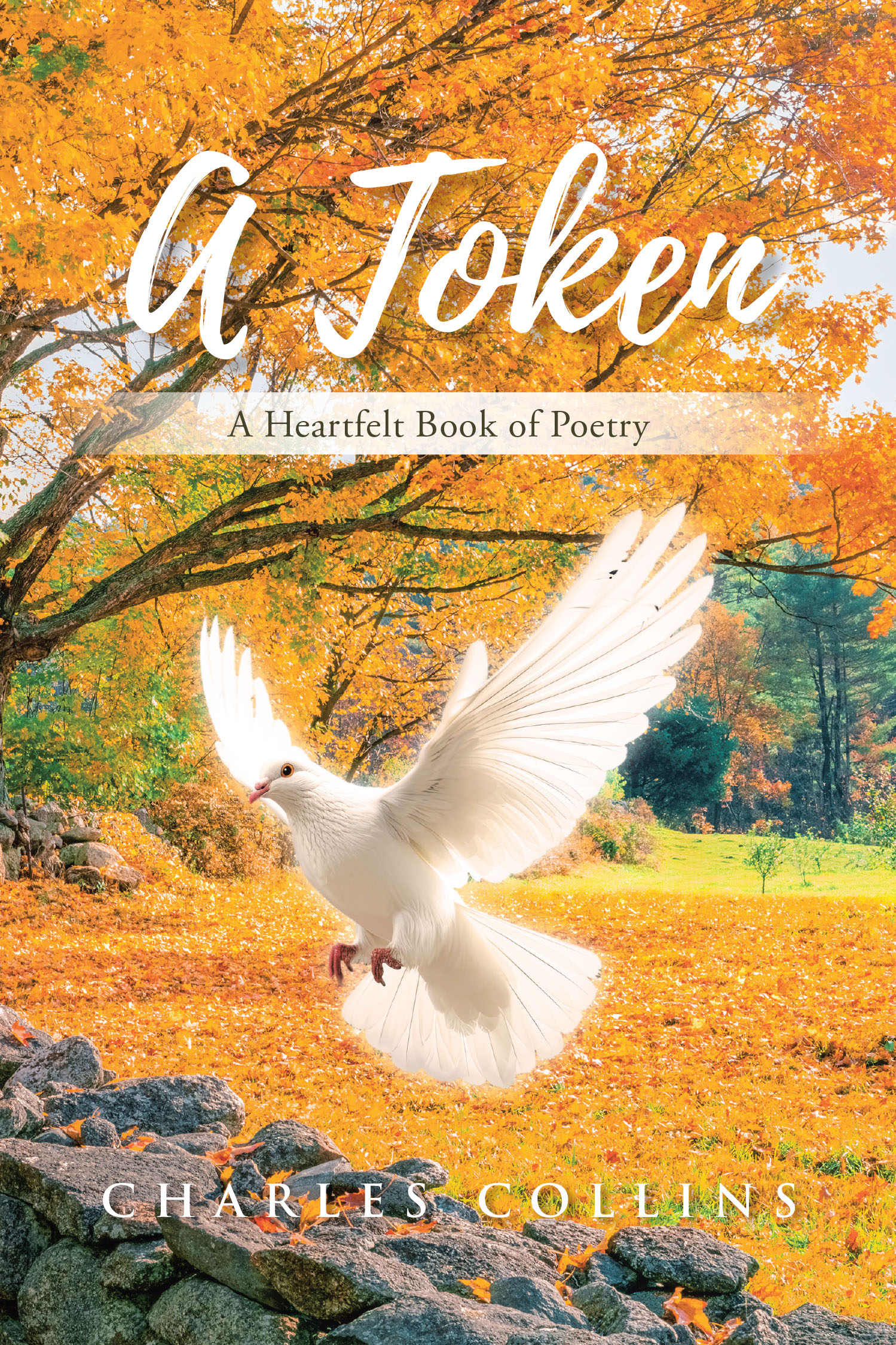 Author Charles Collins’s New Book, "A Token: a Heartfelt Book of Poetry," is a Stirring Collection of Poems That Stem Directly from the Author’s Heart