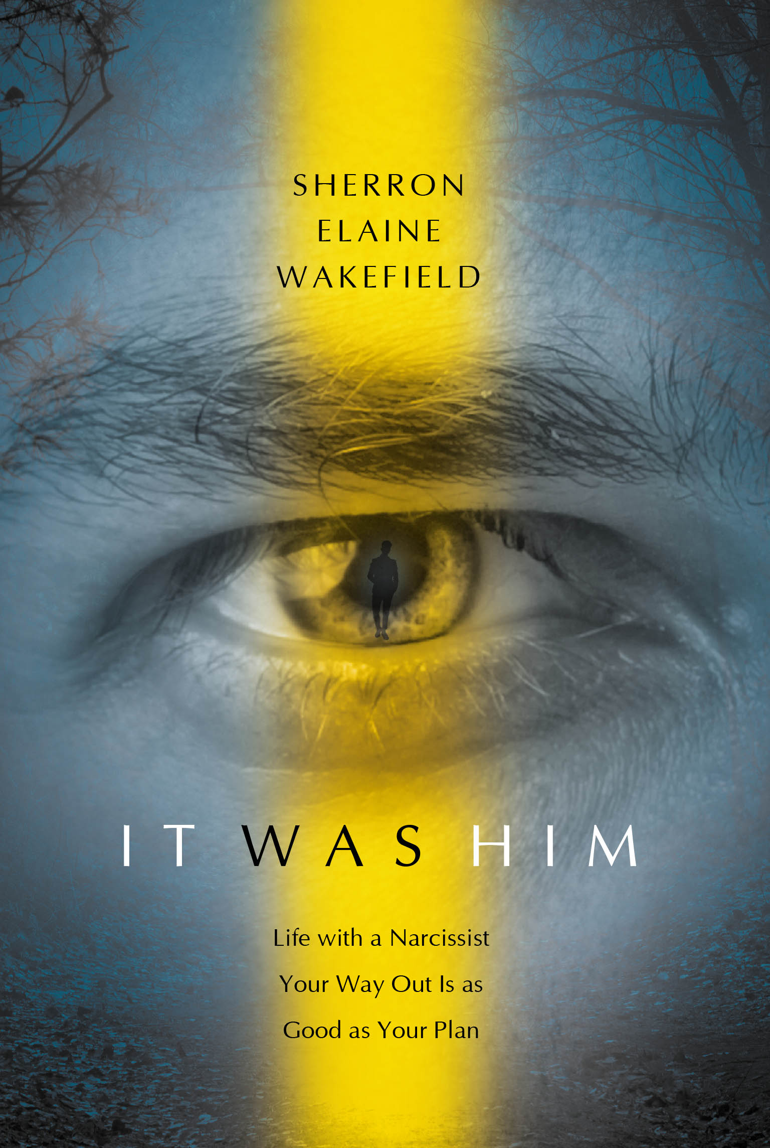 Author Sherron Elaine Wakefield’s New Book, “IT WAS HIM,” Chronicles the Author’s Journey to Break Free After Enduring an Abusive Marriage for Over Thirty Years