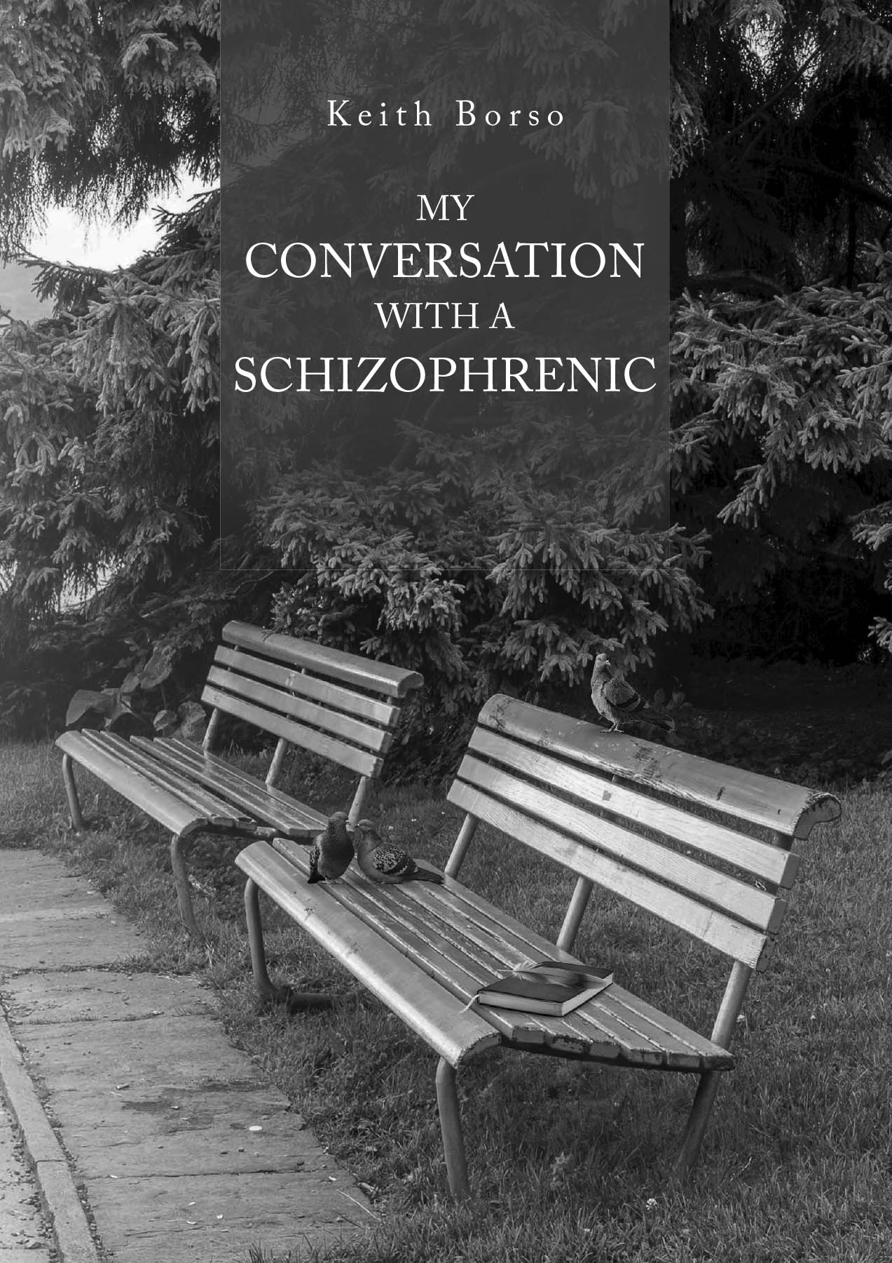 Author Keith Borso’s New Book, "My Conversation with a Schizophrenic," is a Stirring and Powerful Account That Explores What Life with Schizophrenia is Truly Like