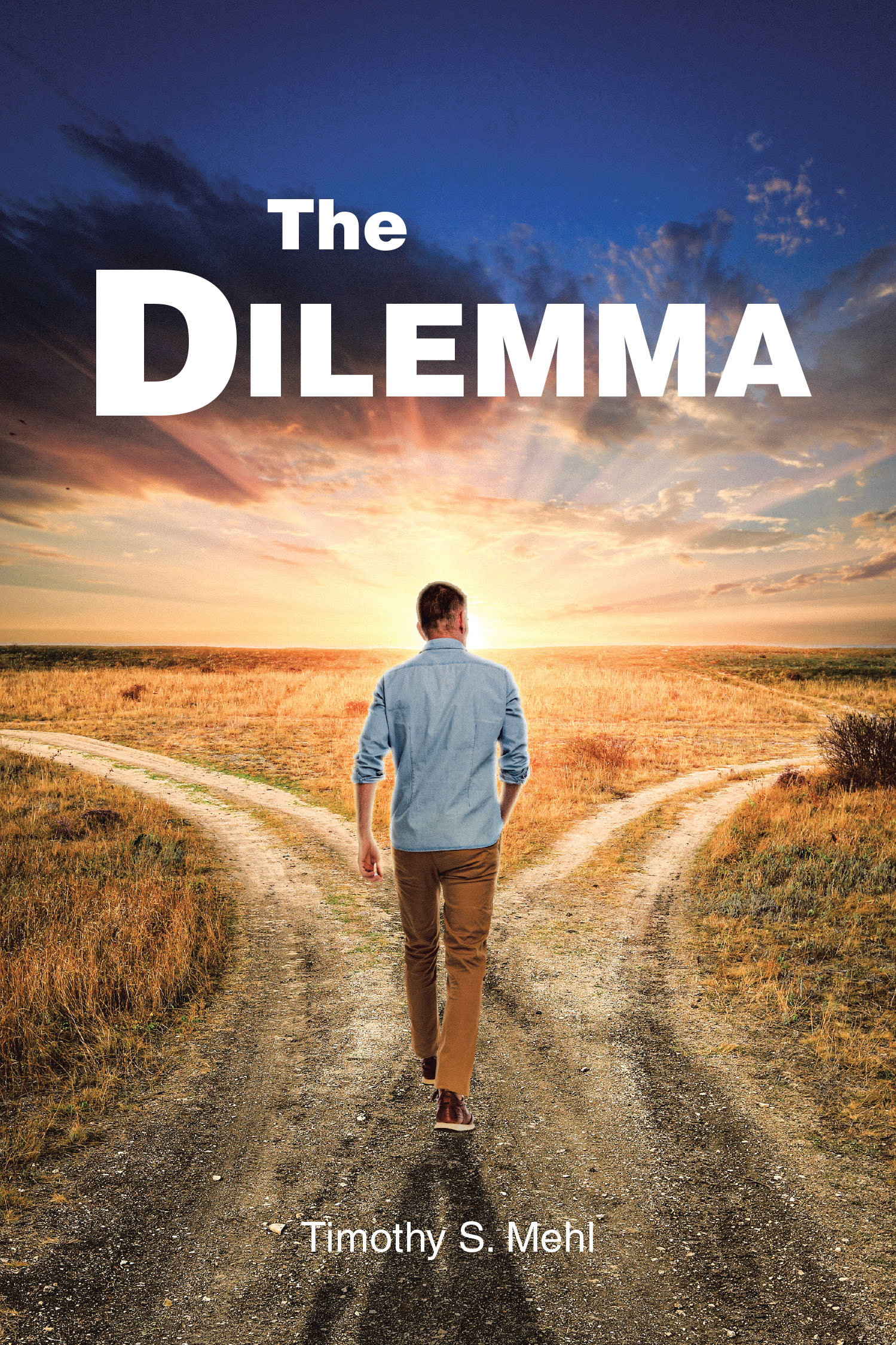 Timothy S. Mehl’s Newly Released "The Dilemma" is a Thought-Provoking Exploration of Faith, Choice, and the Mysteries of Creation