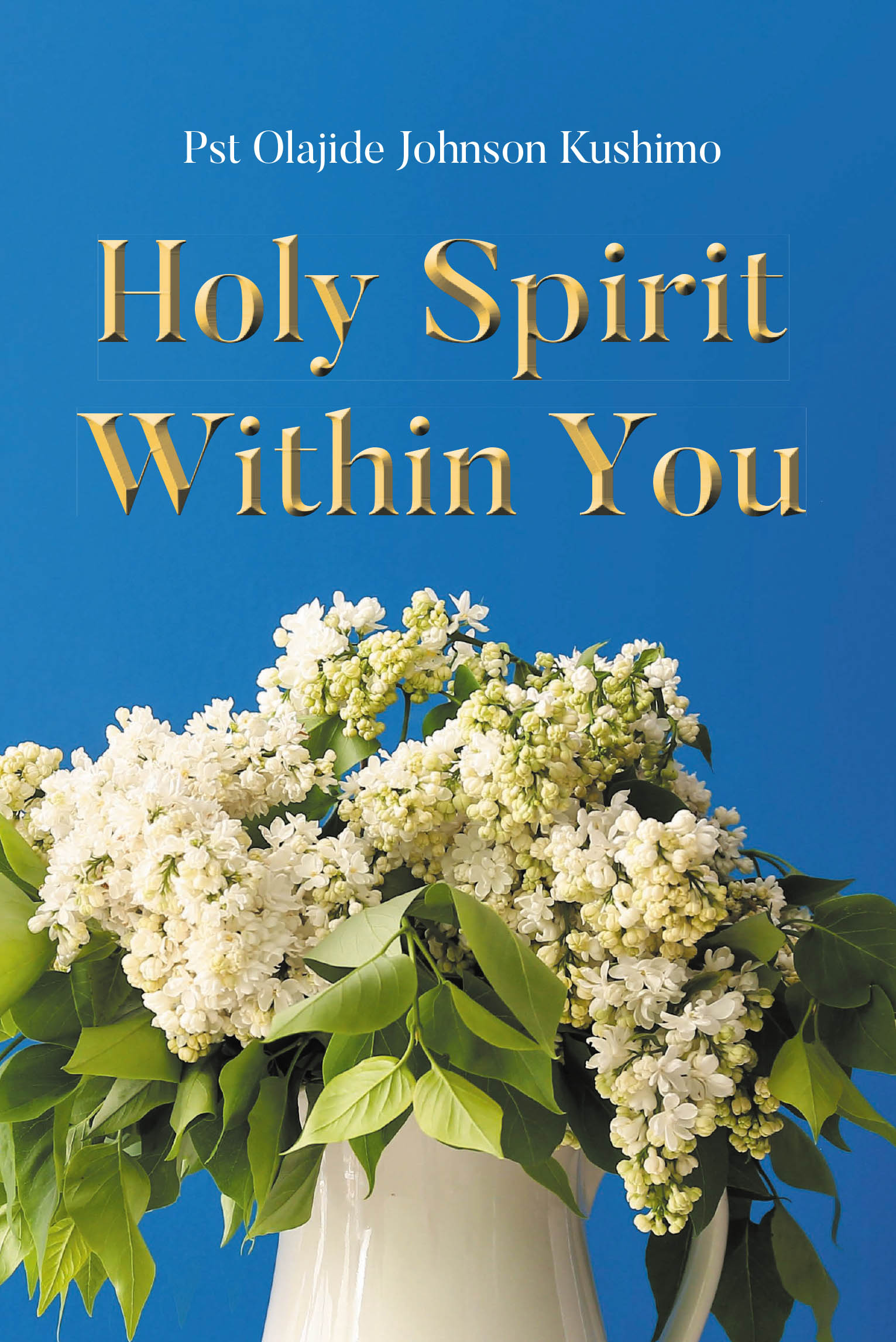 Author Pst Olajide Johnson Kushimo’s New Book, "Holy Spirit Within You," is a Powerful Discussion on the Incredible Spiritual Energy Inside Each Individual