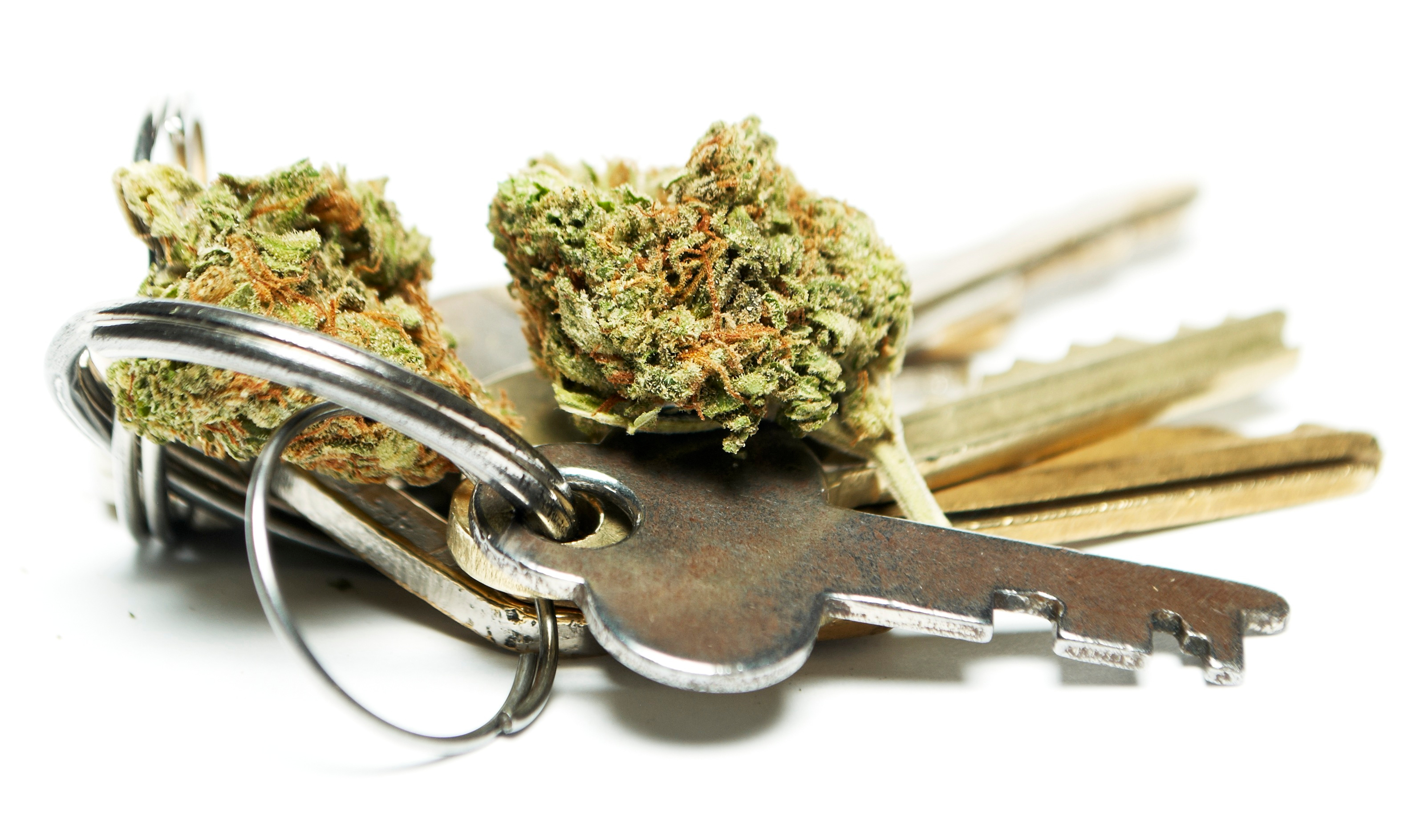 NDASA Urges Congress to Protect Public Safety