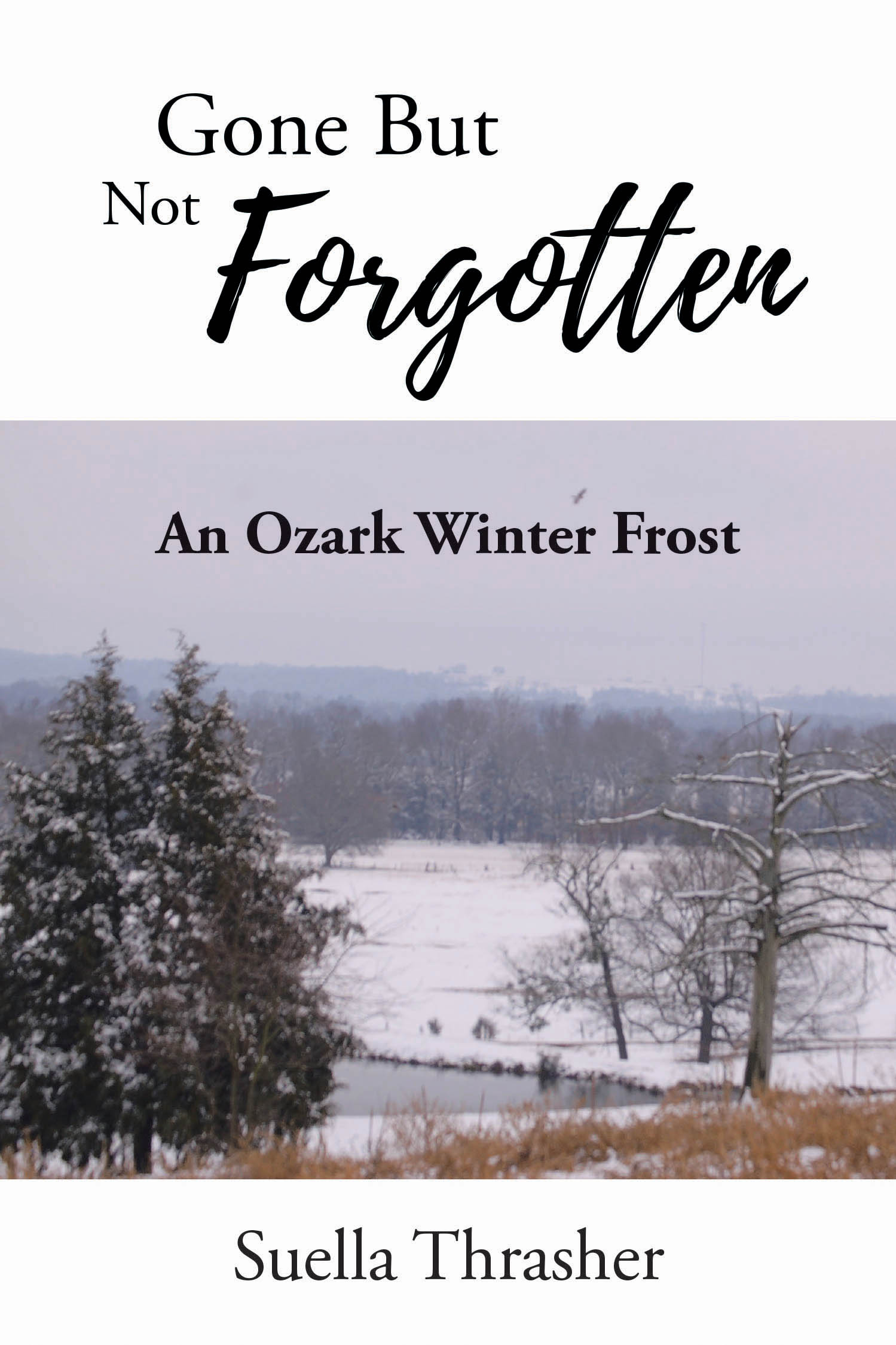 Suella Thrasher’s Newly Released "Gone But Not Forgotten" is a Faith-Filled Continuation That Blends Family, Forgiveness, and Hope Against the Backdrop of Rural Life