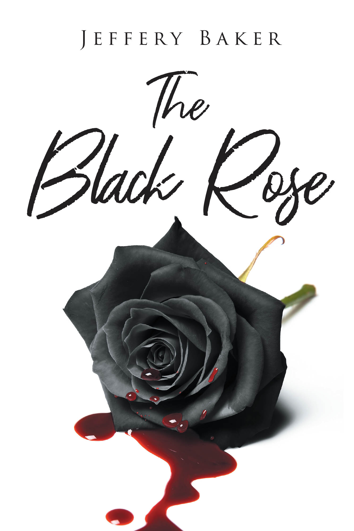 Author Jeffery Baker’s New Book, "The Black Rose," is a Gripping Novel That Follows a Billionaire Who Longs to be Freed of His Troubled Past in Order to Start Over