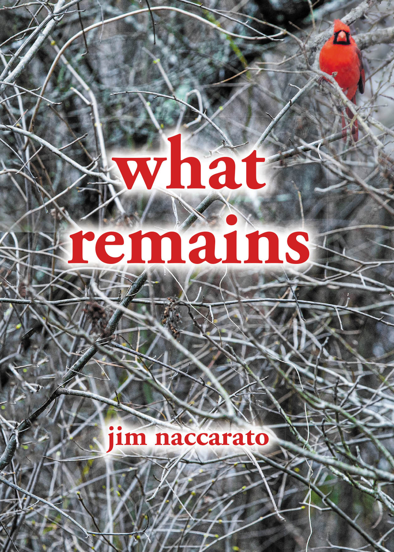 Author Jim Naccarato’s New Book, "What Remains," is a Powerful Story That Centers Around One Man’s Reflections of His Life’s Journey and His Family’s Past