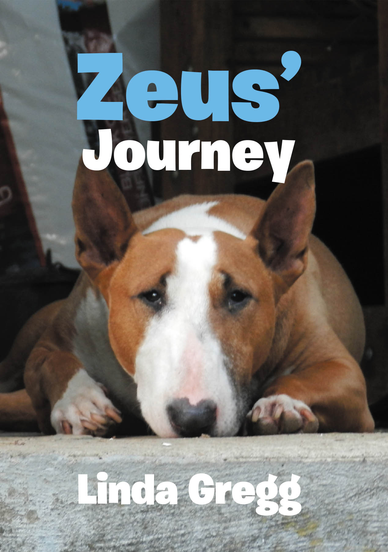 Linda Gregg’s New Book, "Zeus' Journey," is a Moving True Story That Follows an Abandoned Bull Terrier Who Overcame Behavioral Issues to Become a Beloved Companion