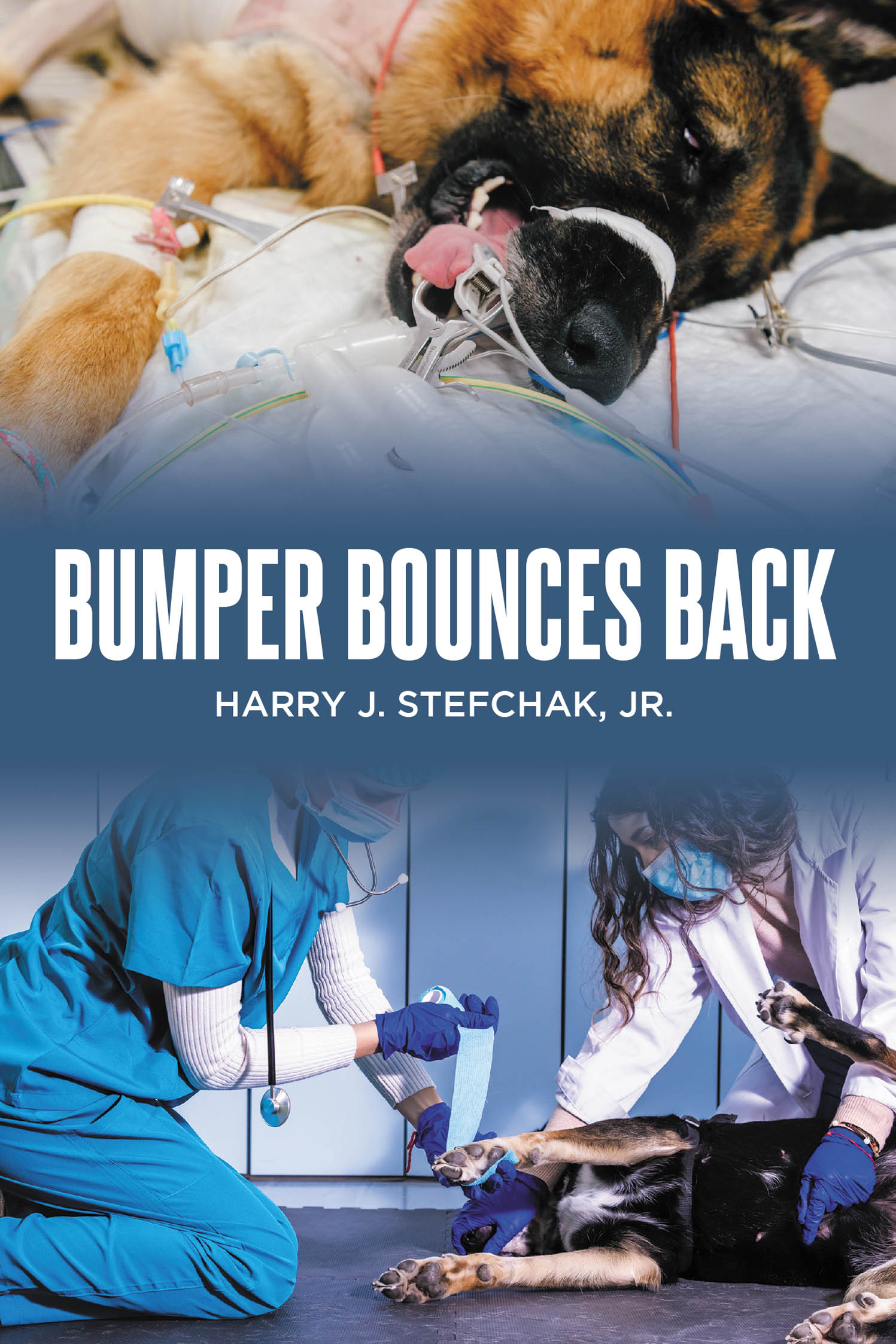 Author Harry J. Stefchak, Jr.’s New Book, "Bumper Bounces Back," is a Heartfelt Story of a Dog Named Bumper Who Overcomes a Devastating Injury to Her Leg