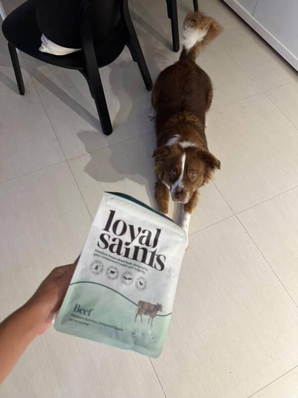 From Vet Visits to Founder: Local Female Founder Builds Brand That Uses Dog Food to Fund Twin Cities Community & Rescue Efforts