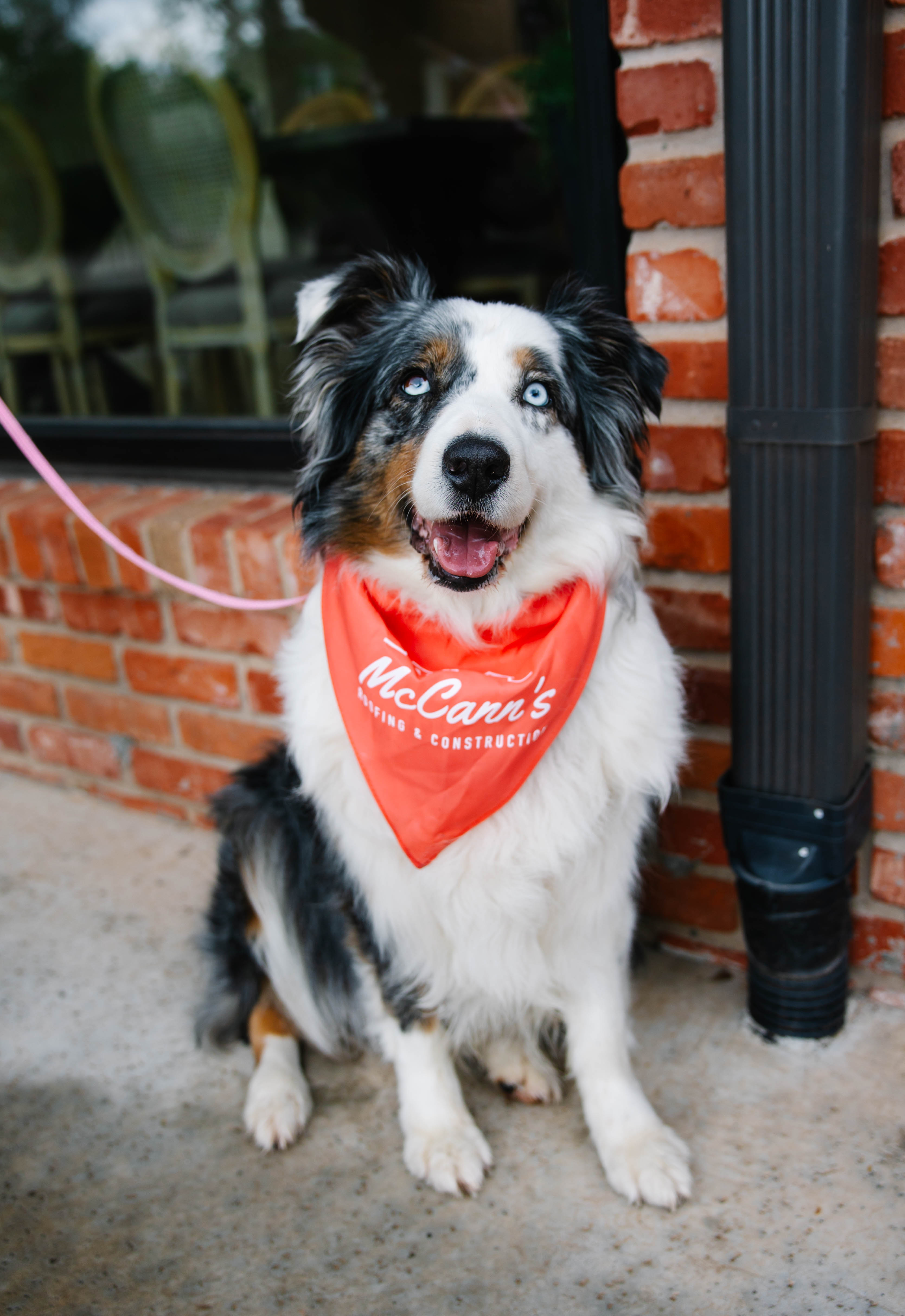 McCann’s Roofing & Construction Named Best of 405 Finalist as Oklahoma City Homeowners Seek Trusted, Long-Term Roofing Solutions