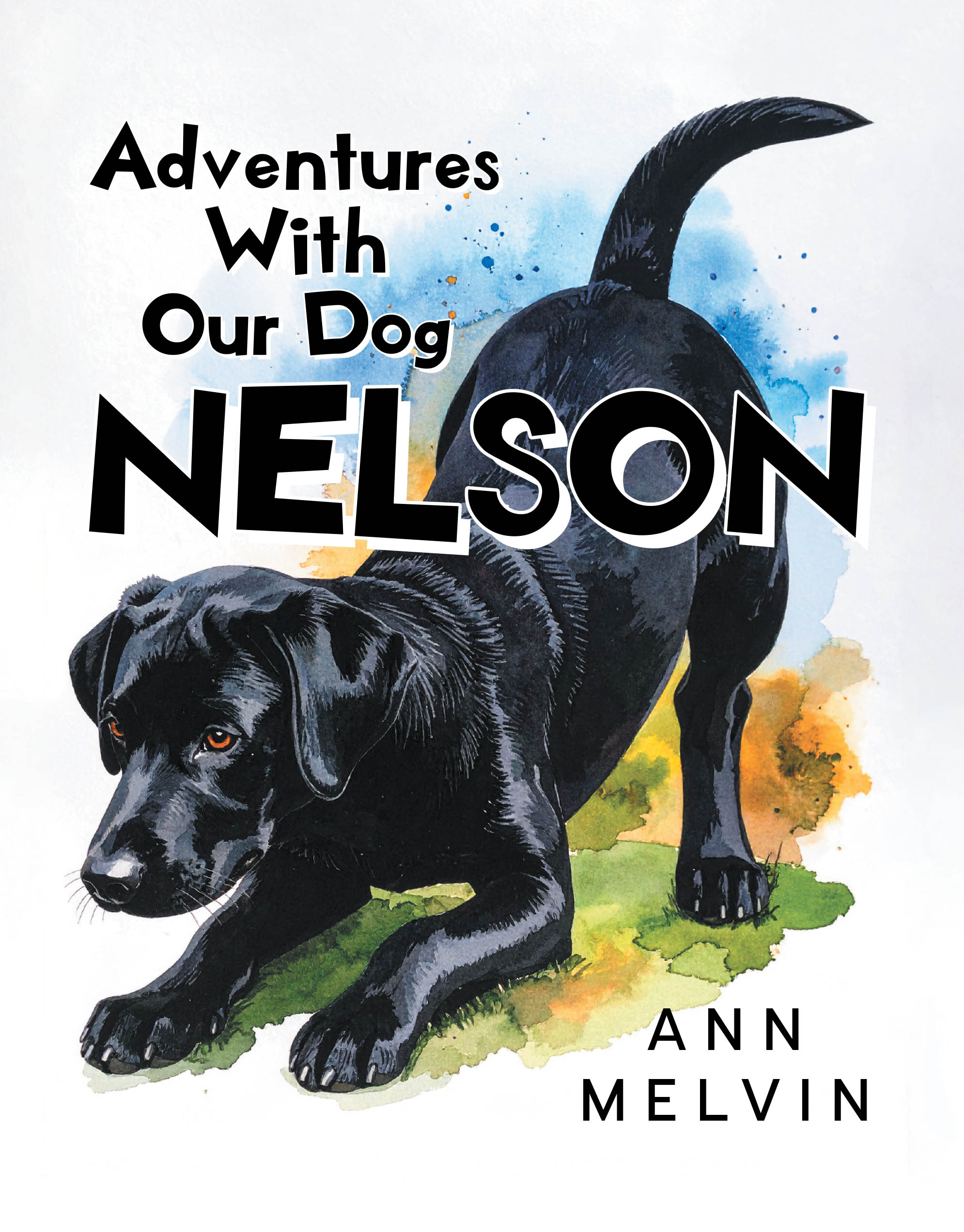 Author Ann Melvin’s New Book, "Adventures with Our Dog Nelson," is a Heartfelt and Entertaining Collection of Humorous Short Stories About the Author’s Family Dog