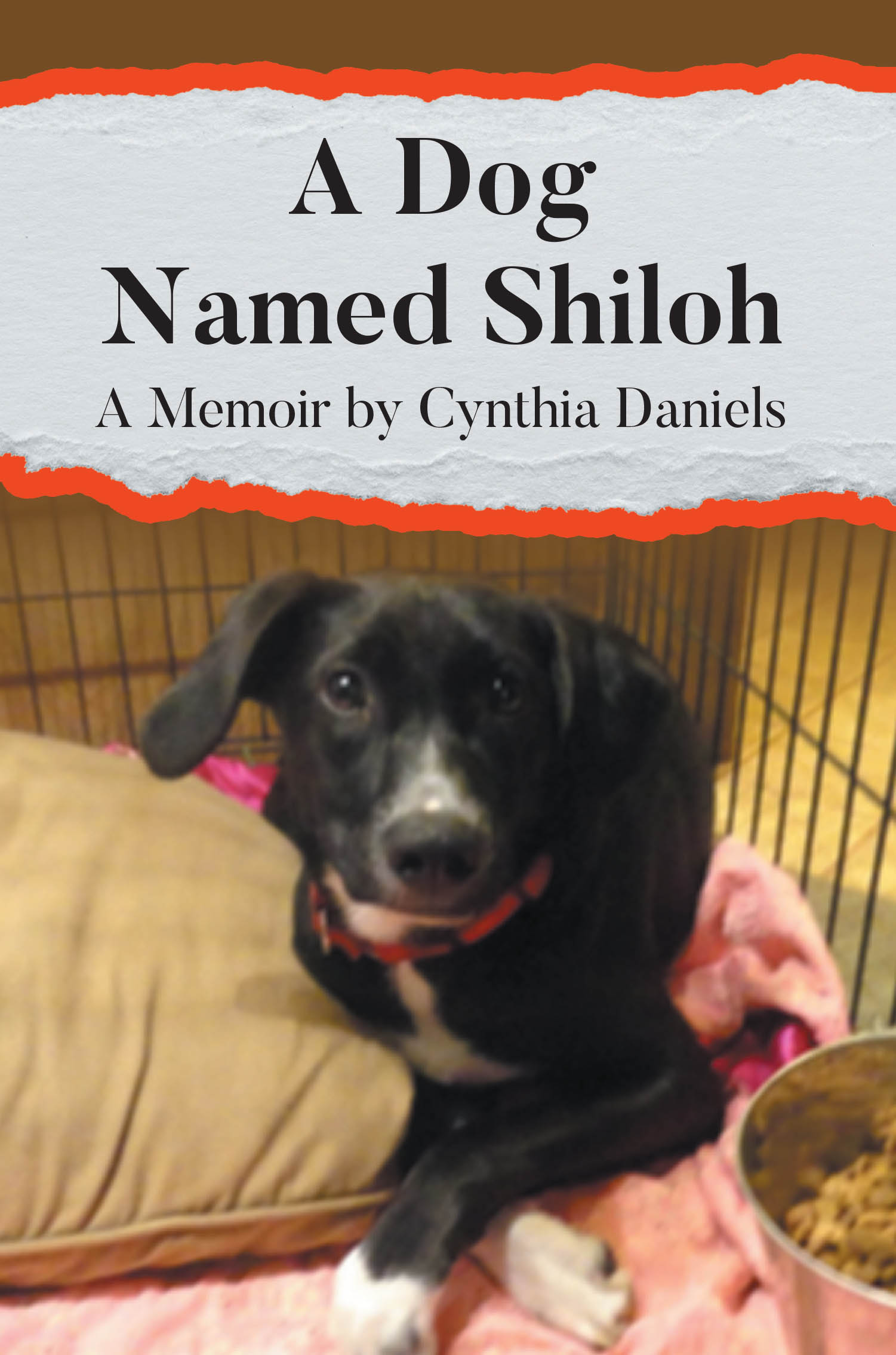 Author Cynthia Daniels’s New Book, "A Dog Named Shiloh," is a Poignant True Story That Follows the Author’s Journey to Rehabilitate Her Rescue Dog from the Streets