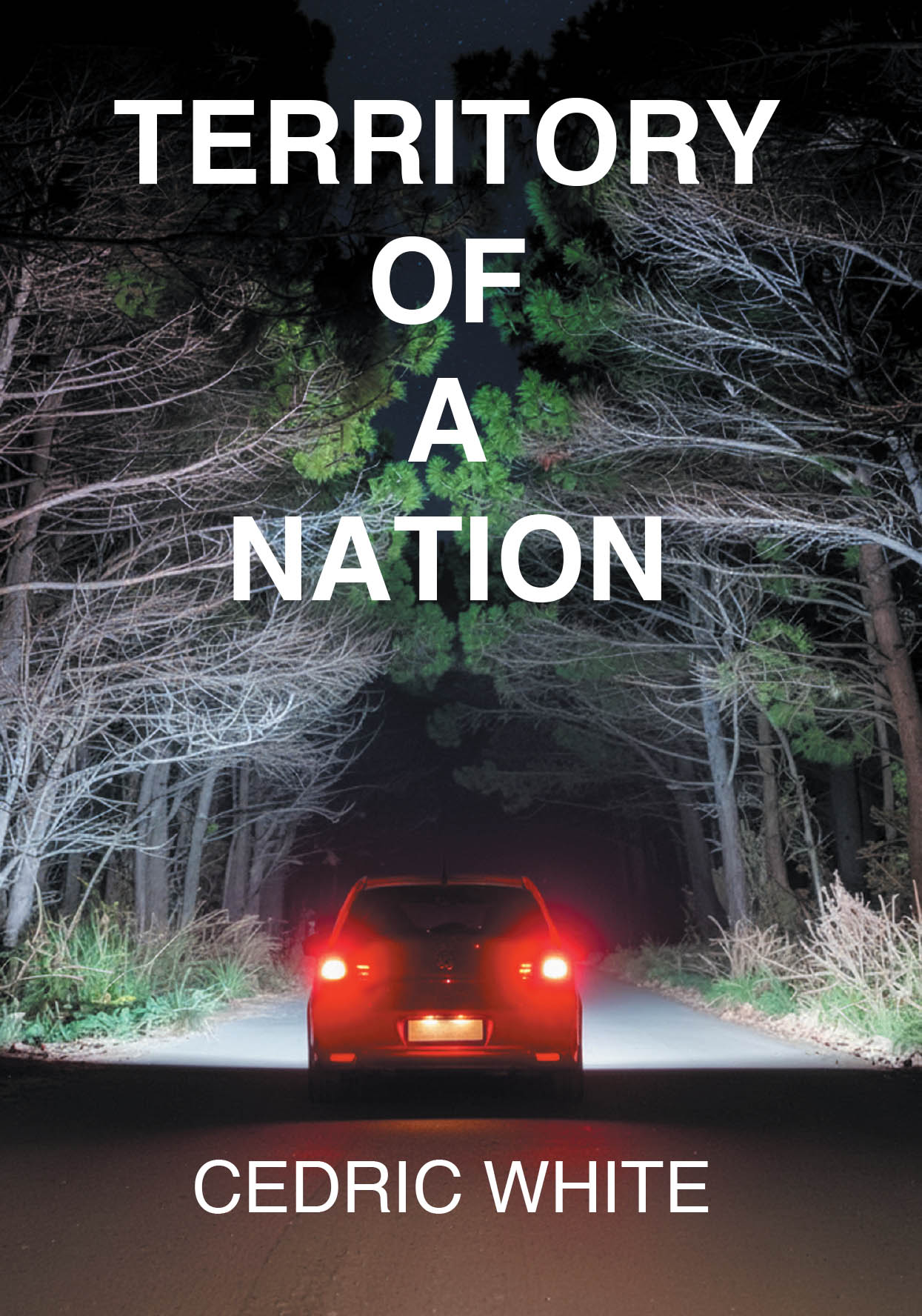 Recent Release, "Territory of a Nation," from Page Publishing Author Cedric White, Captivates Readers with Its Suspenseful Narrative