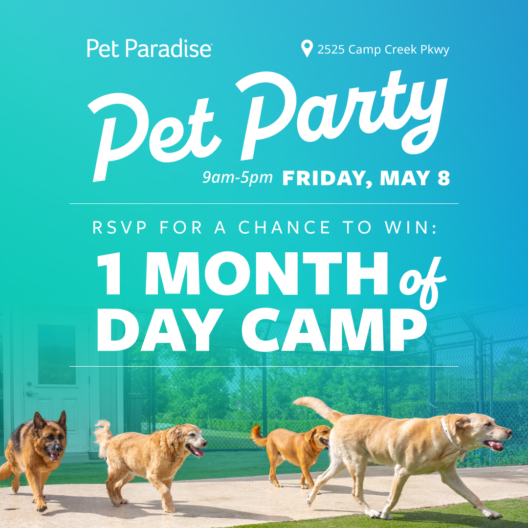 Pet Paradise Atlanta Celebrates Grand Reopening