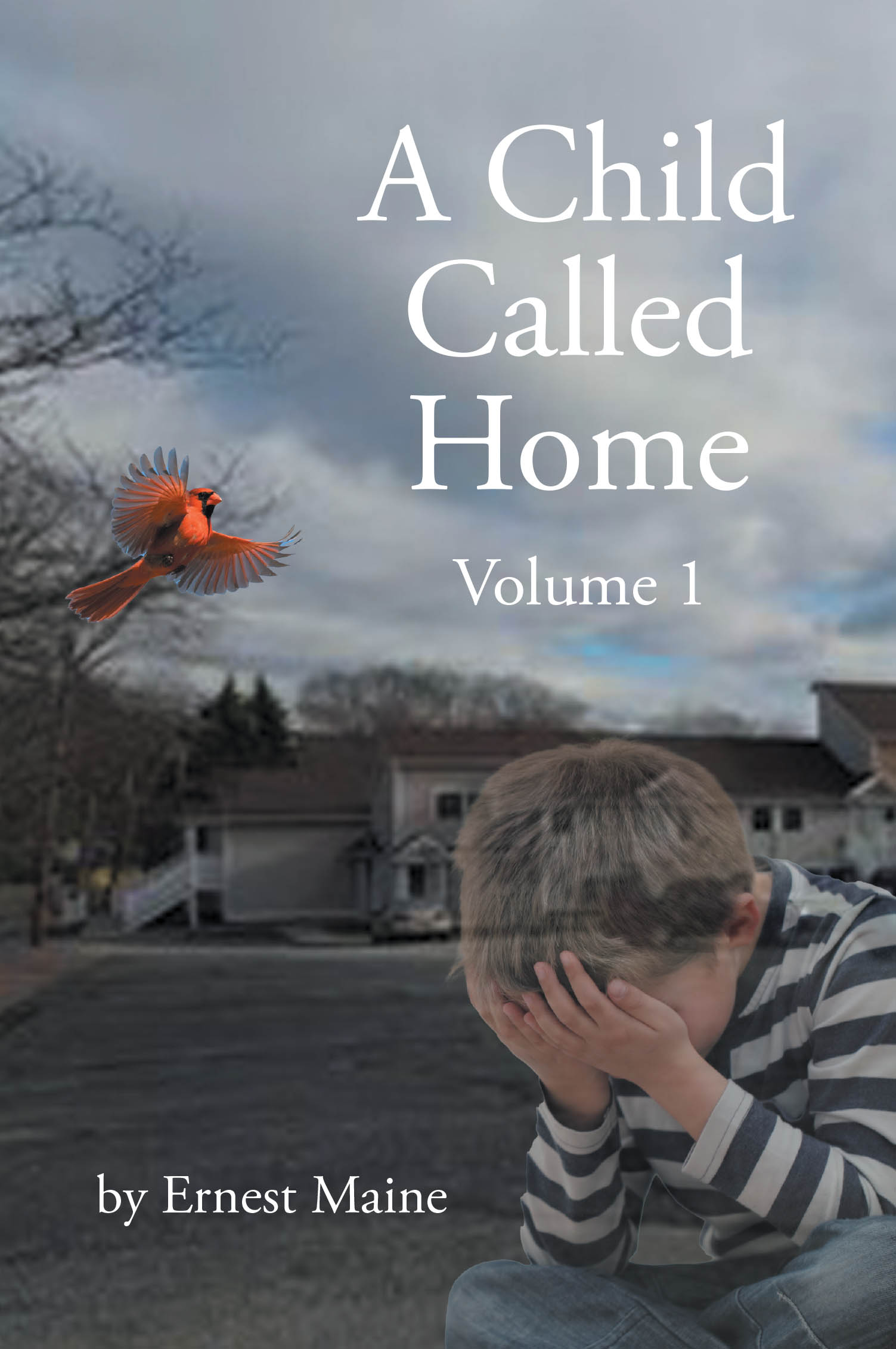 Recent Release, "A Child Called Home: Volume 1," from Page Publishing Author Ernest Maine, Offers a Raw, Unflinching Portrait of Survival in the Foster Care System