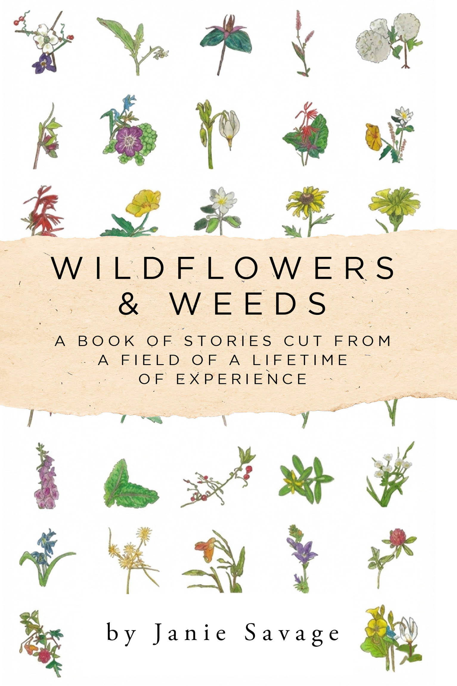Recent Release, "Wildflowers & Weeds," from Newman Springs Publishing Author Janie Savage, Explores the Universal Need to be Seen Through Authentic Storytelling
