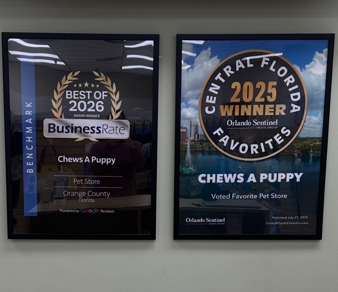 Chews A Puppy Earns Award-Winning Success