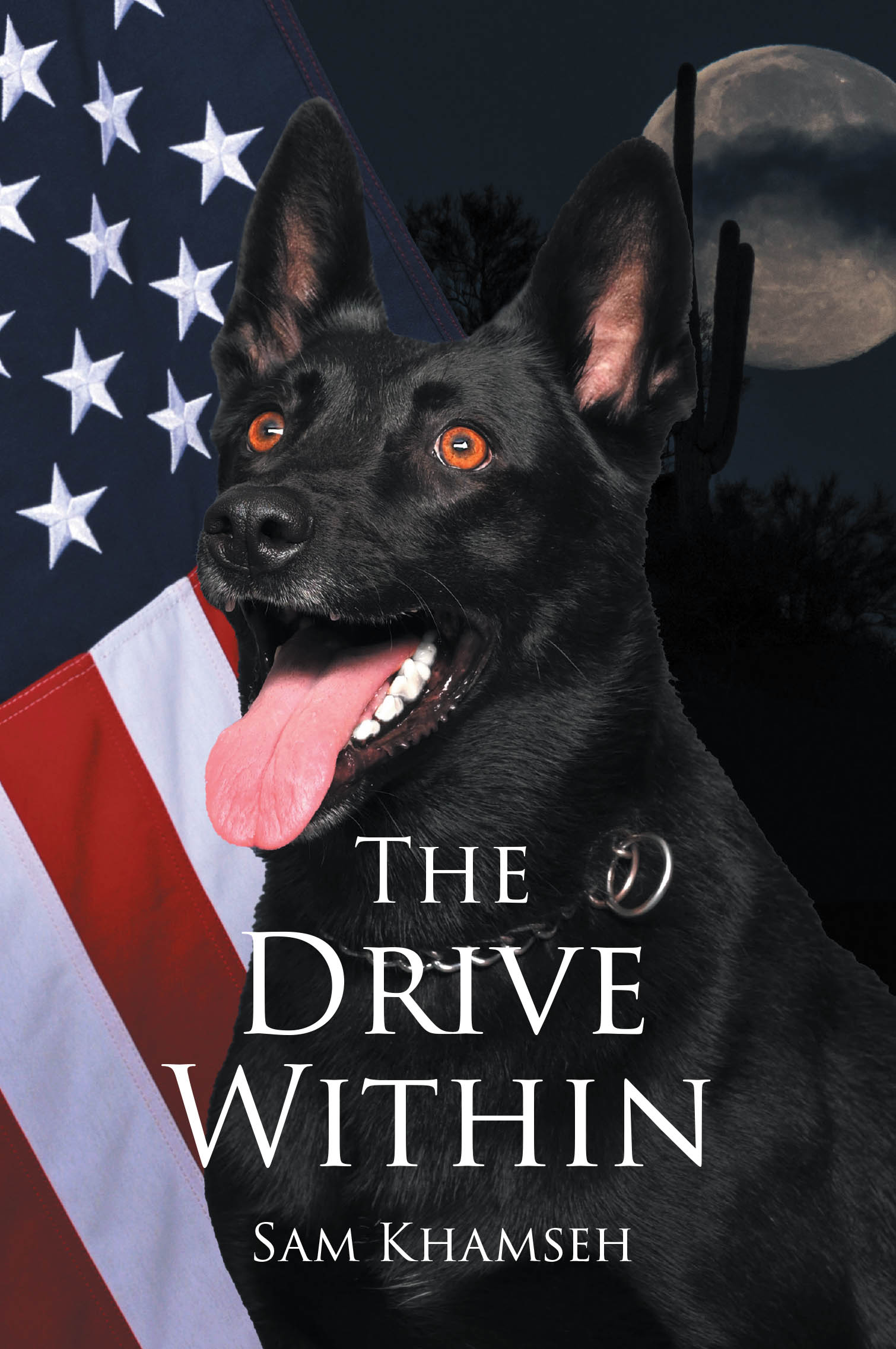 Recent Release, "The Drive Within," from Page Publishing Author Sam Khamseh, Explores the Powerful Internal Forces That Propel Us Toward Our Greatest Potential