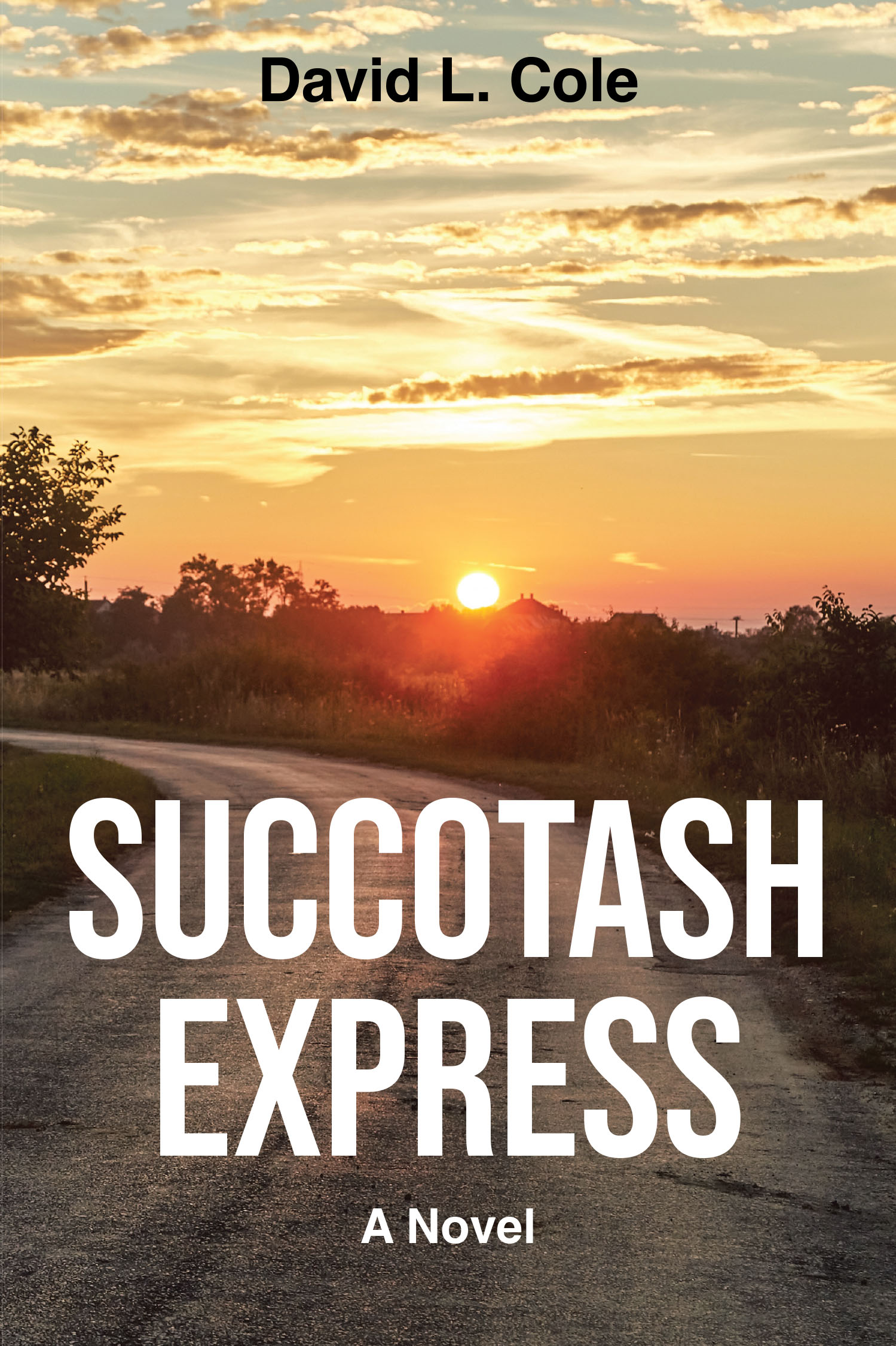 David L. Cole’s Newly Released "Succotash Express: A Novel" is a Compelling and Emotionally Driven Story of Brokenness, Redemption, and Unexpected Transformation