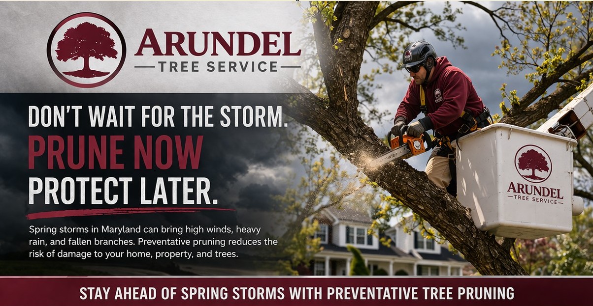 Arundel Tree Service Continues to Grow and Service the Area with Pride - Since 1999, 30 Years of Reliable Professional Tree Care