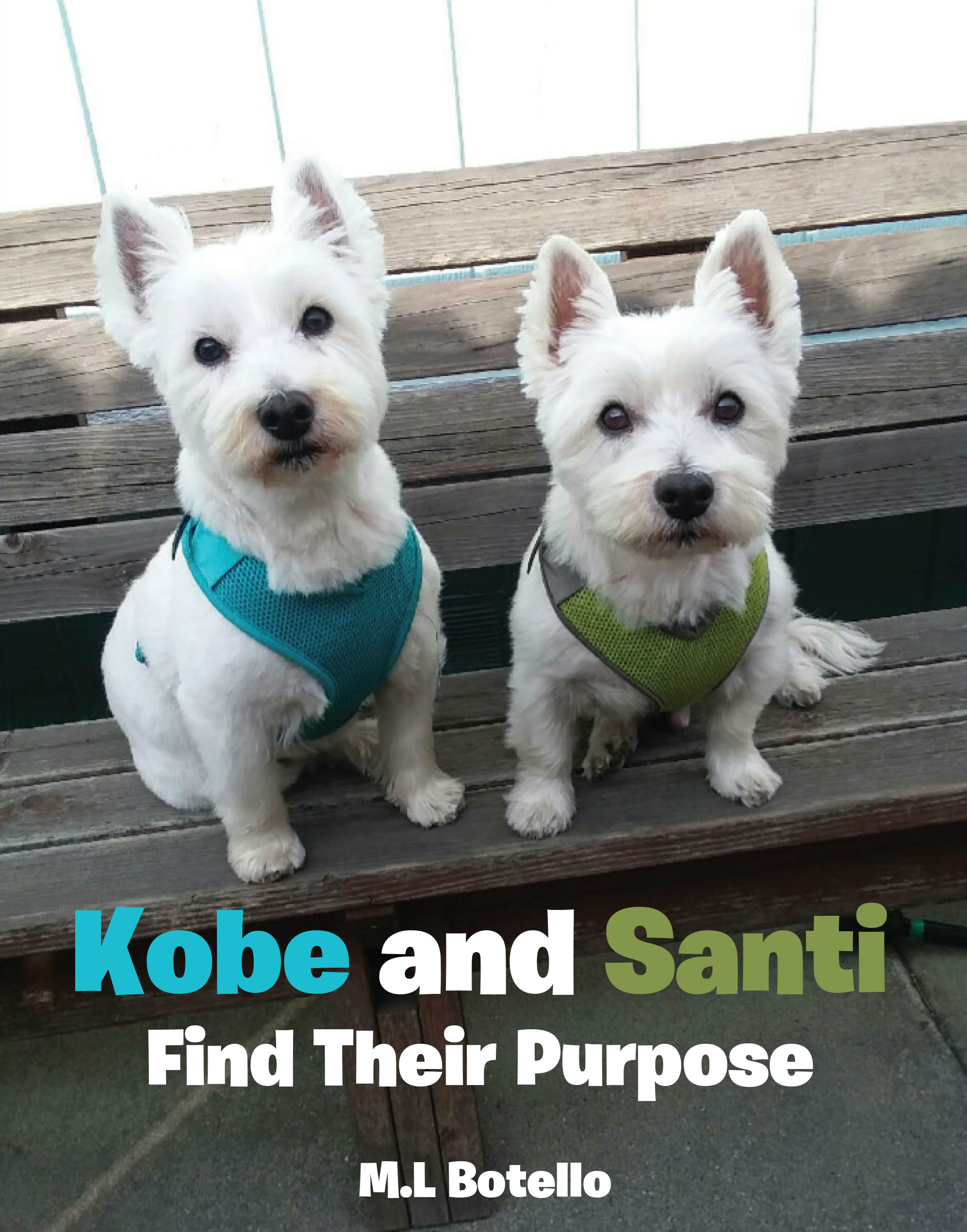 Recent Release, "Kobe and Santi Find Their Purpose," from Page Publishing Author M.L Botello, Follows Two Determined Characters Discovering Their Unique Callings