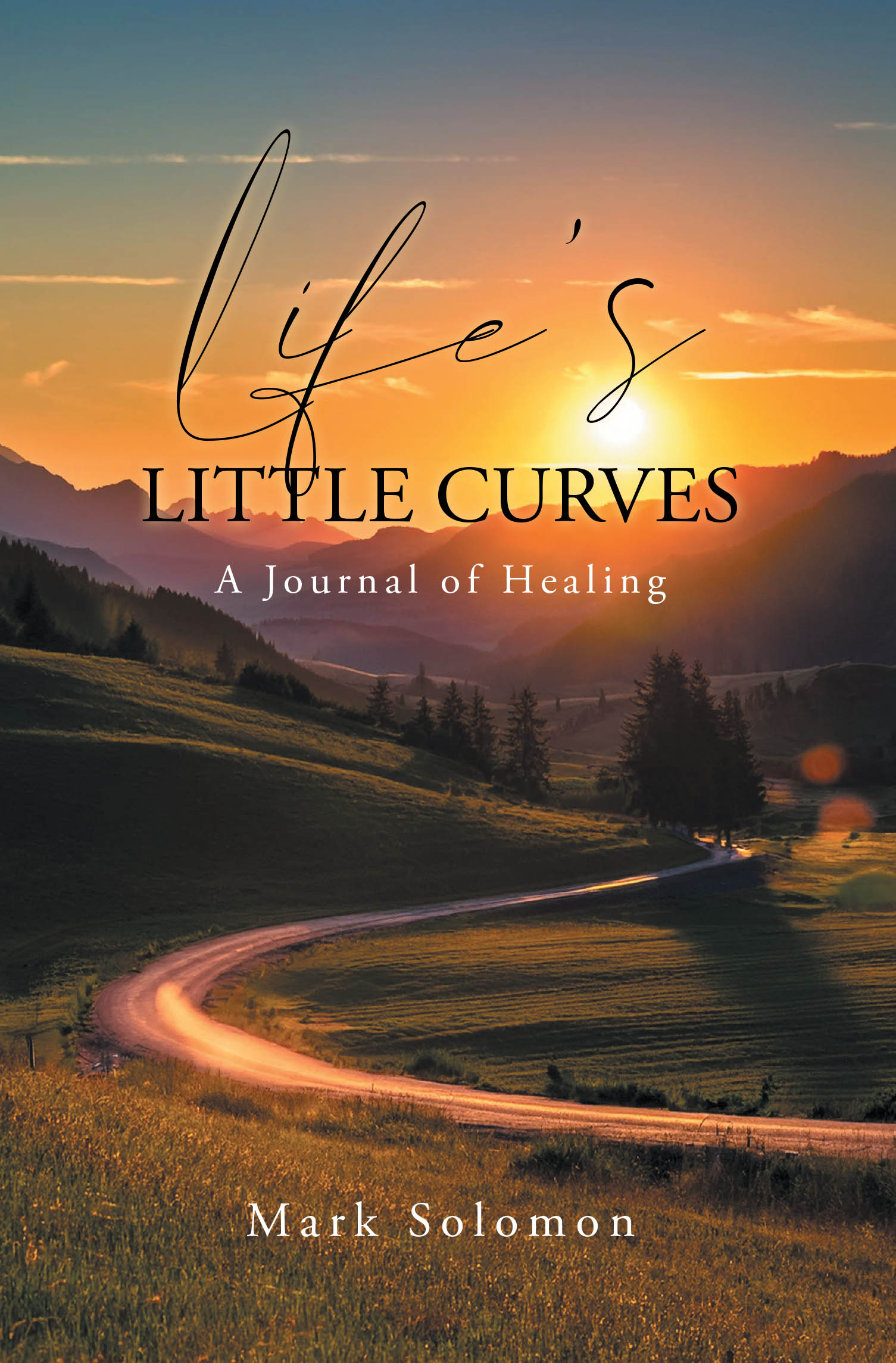 Recent Release, "Life's Little Curves: A Journal of Healing," from Page Publishing Author Mark Solomon, Explores One Man's Journey Through Profound Loss and Growth