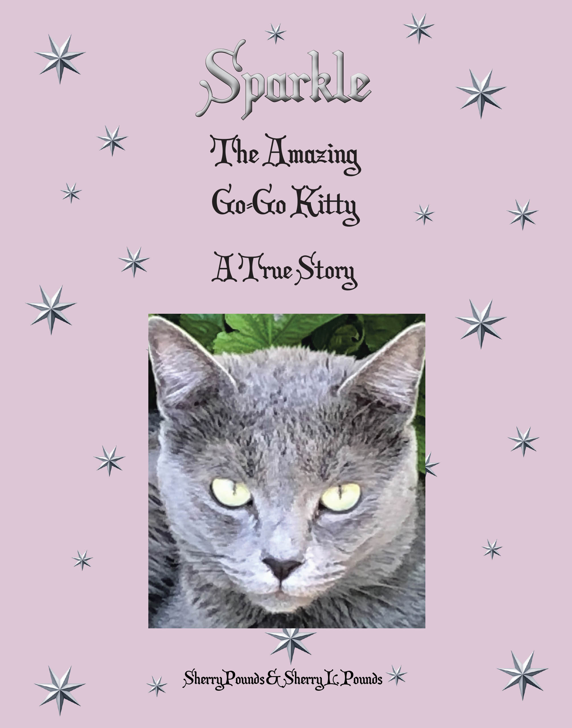"Sparkle," from Christian Faith Publishing Authors Sherry Pounds & Sherry L. Pounds, Explores an Extraordinary Bond Between Humans and Their Feline Companion