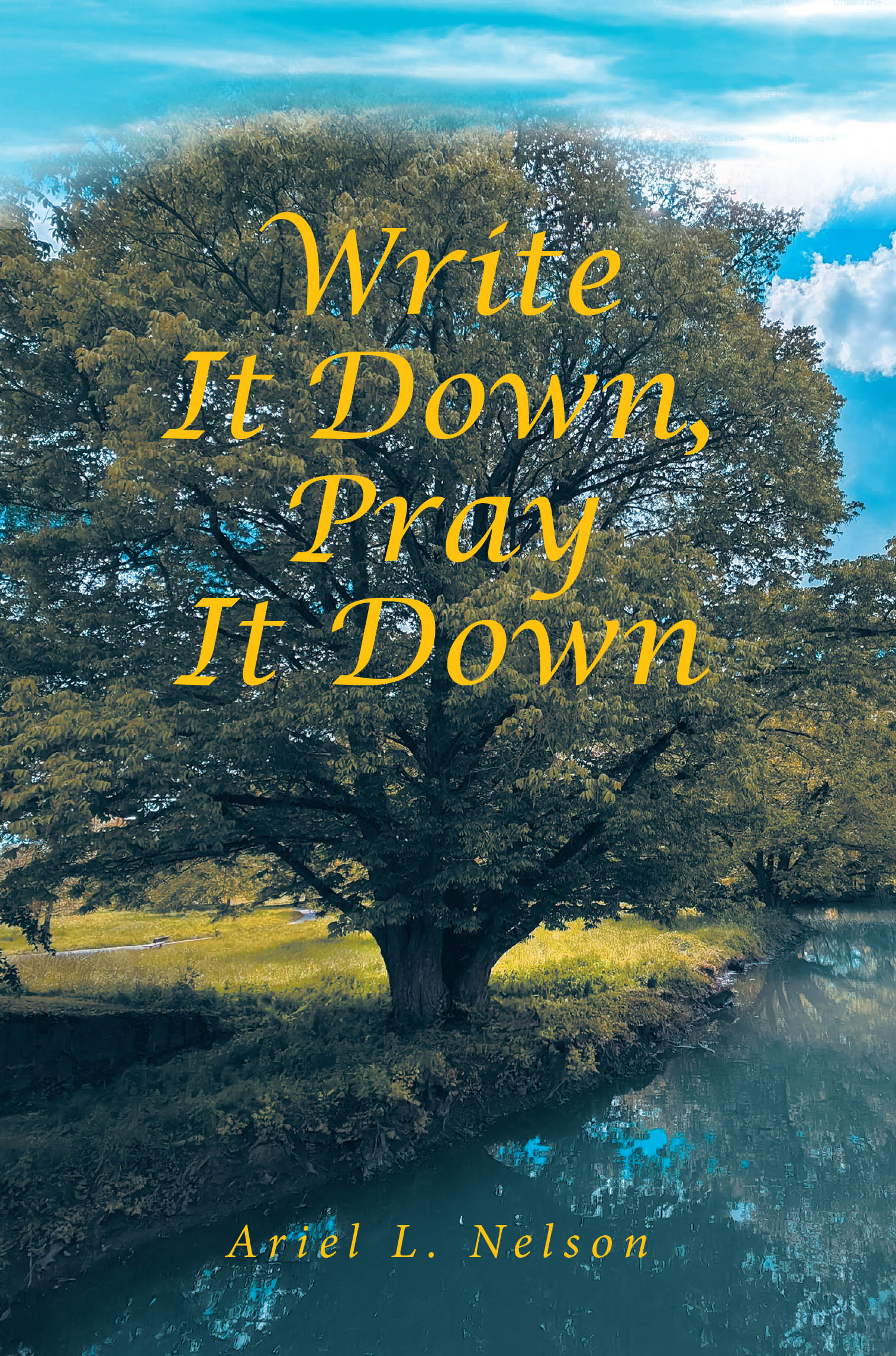 Recent Release, "Write It Down, Pray It Down," Invites Readers Into a Transformative Journey of Healing Through Journaled Reflections and Spiritual Restoration