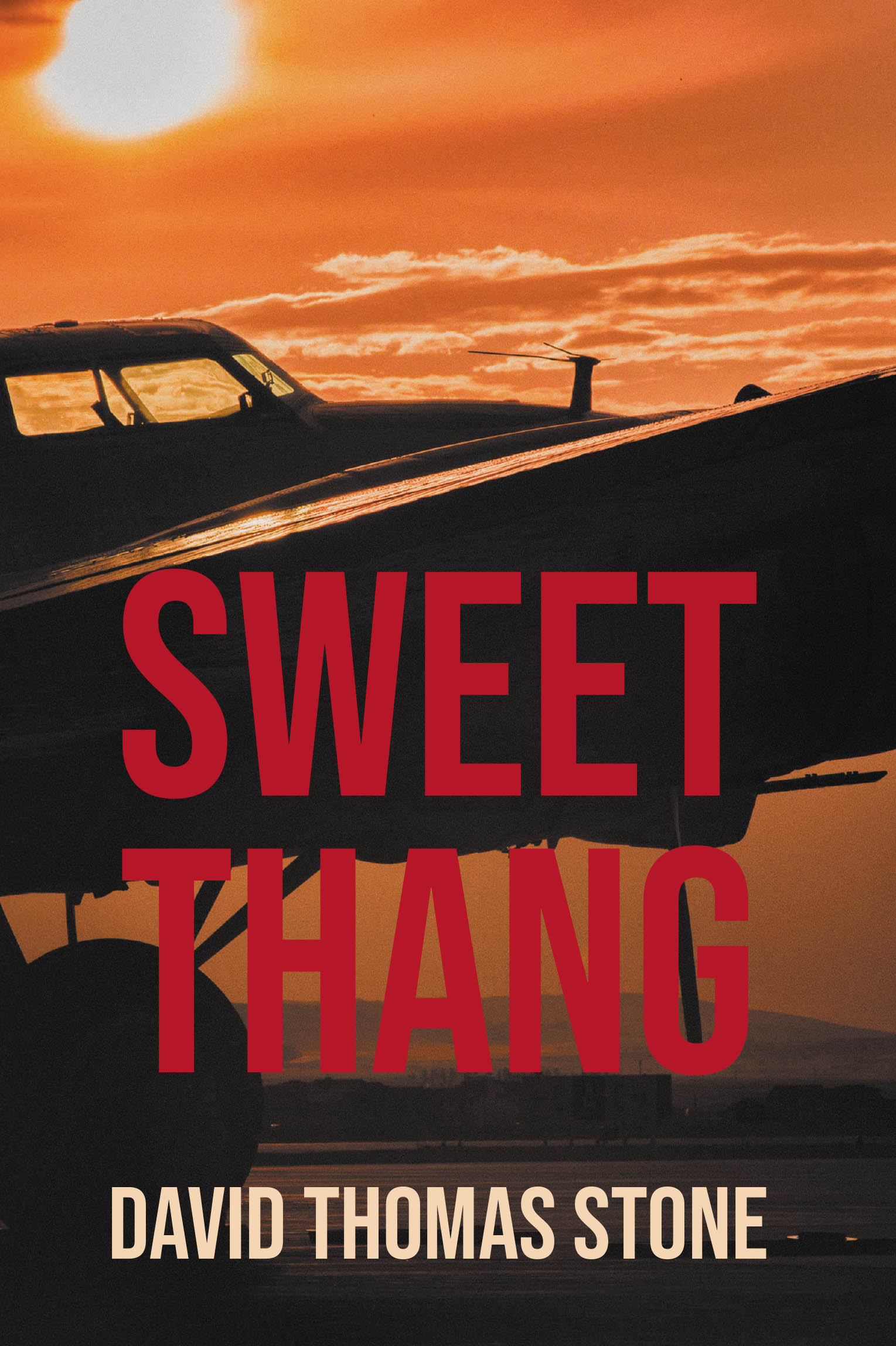 Recent Release, "Sweet Thang," from Fulton Books Author David Thomas Stone, Follows Skilled Pilots Who Discover a Hidden WWII Bomber & Must Prevent a Catastrophic Attack