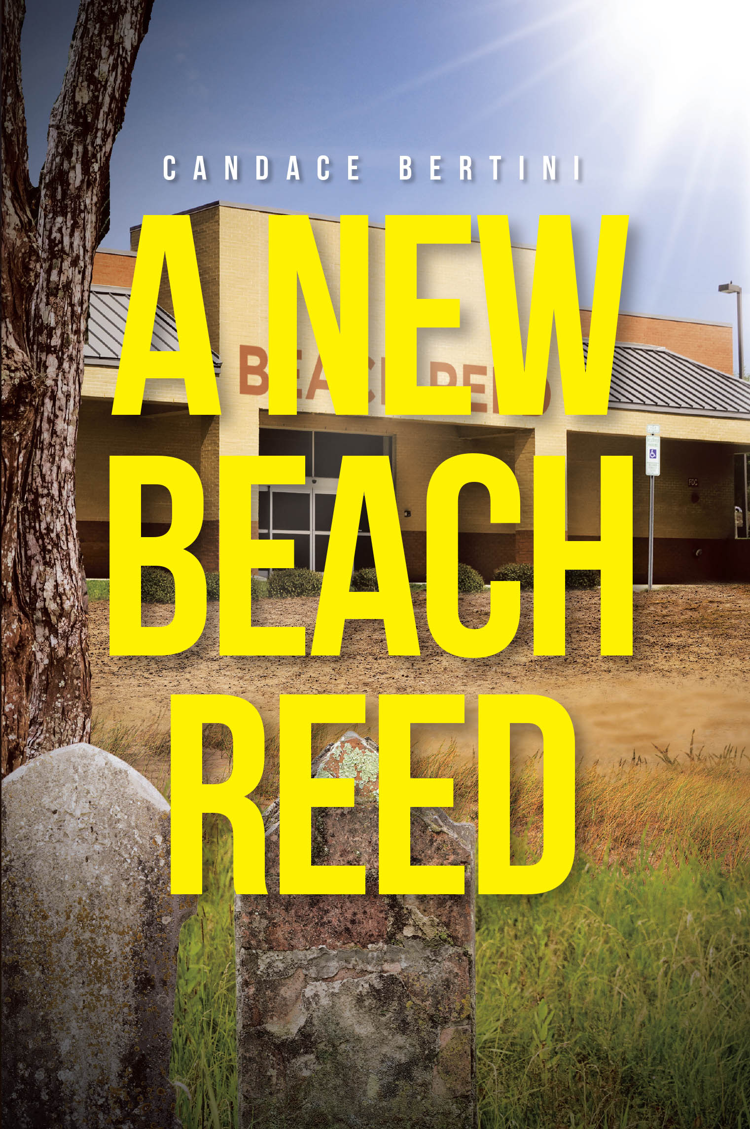 Recent Release, "A New Beach Reed," from Covenant Books Author Candace Bertini, Explores the Intersection of Ambition, Love, and the Secrets Buried in Our Past