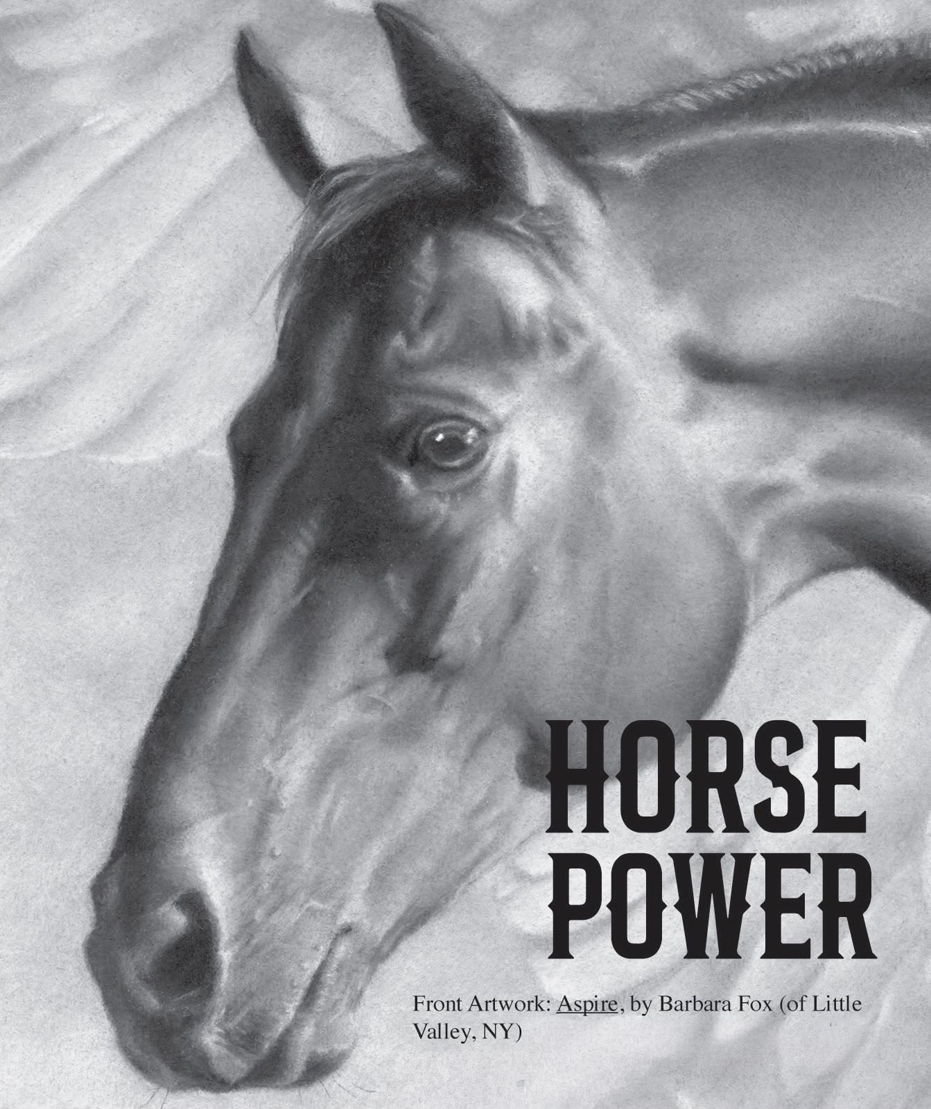 Main Street Arts (Clifton Springs, NY)  and RedDOTvirtual (Rochester, NY)  Bring HORSE POWER Exhibition to Collectors Worldwide with Immersive 3D Virtual Gallery