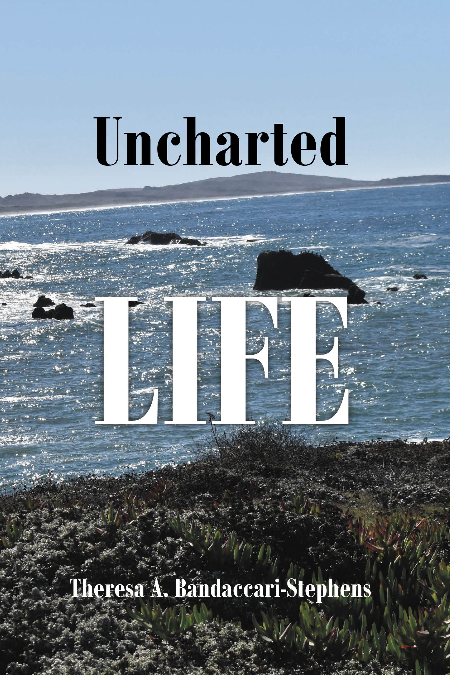 Recent Release, "Uncharted Life," from Newman Springs Publishing Author Theresa A. Bandaccari-Stephens, Explores One Man's Journey Through Loss, Betrayal, and Redemption