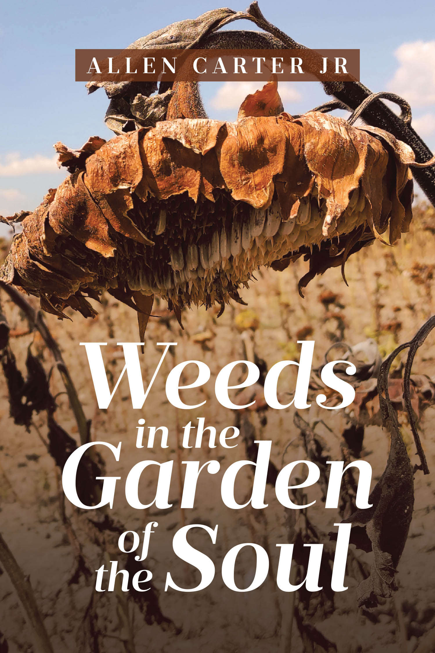 Recent Release, "Weeds in the Garden of the Soul," from Covenant Books Author Allen Carter Jr, Explores How Spiritual Disconnection Fuels Division