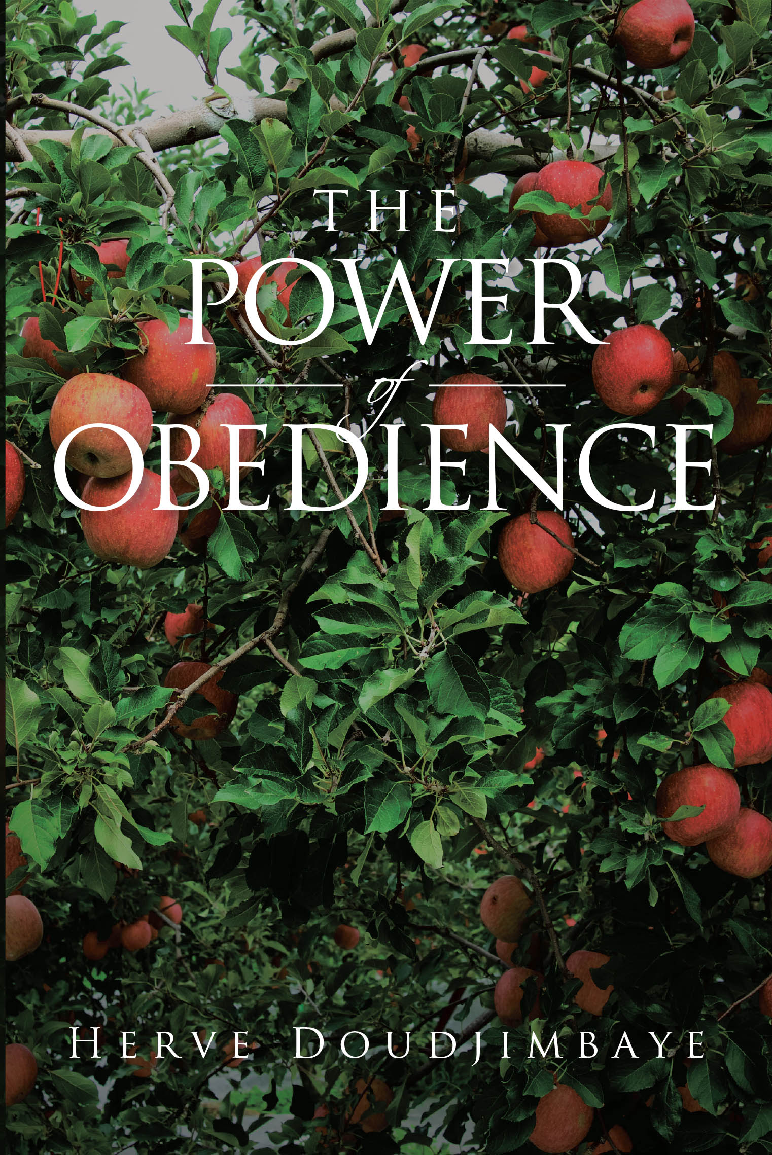 Recent Release, "The Power of Obedience," from Covenant Books Author Herve Doudjimbaye, Explores True Surrender to God