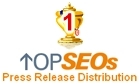 #1 Press Release Distribution Service for February 2006, by TopSEOs.com