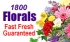 Phillip's Flowers ~ 1-800-FLORALS Florist